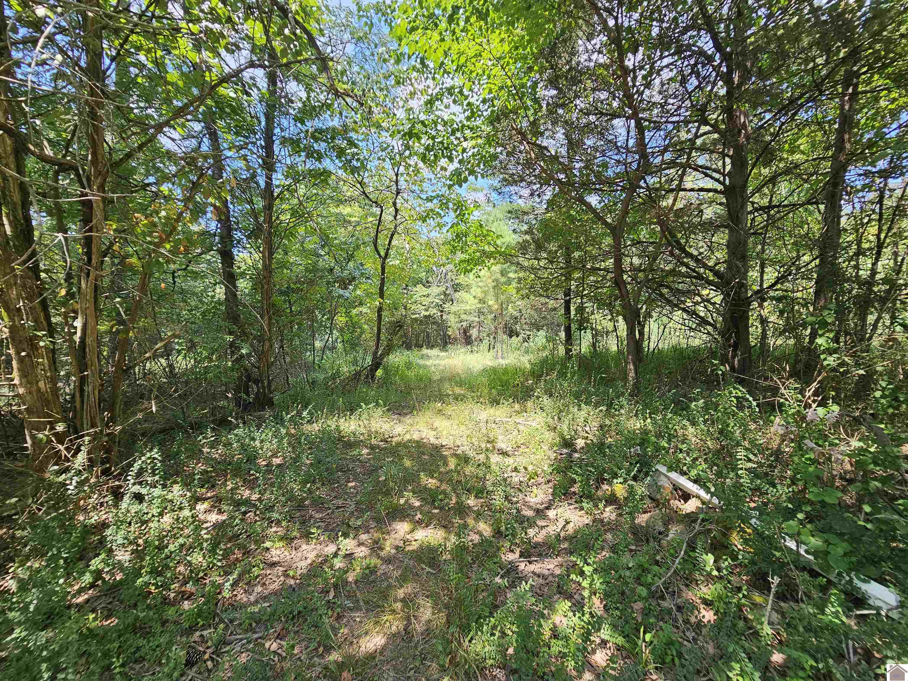 147 Stewart Dr, Benton, KY 42025 Listing Photo  19