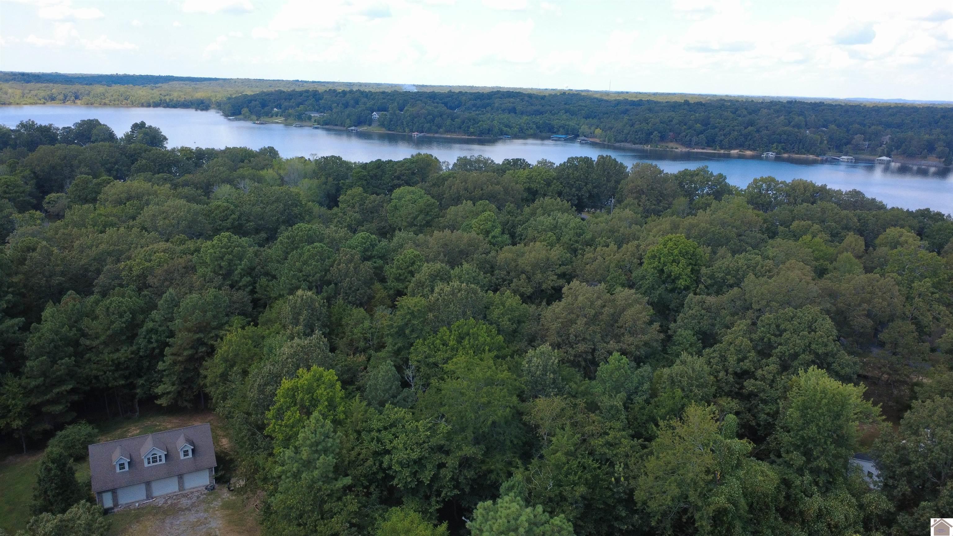147 Stewart Dr, Benton, KY 42025 Listing Photo  3