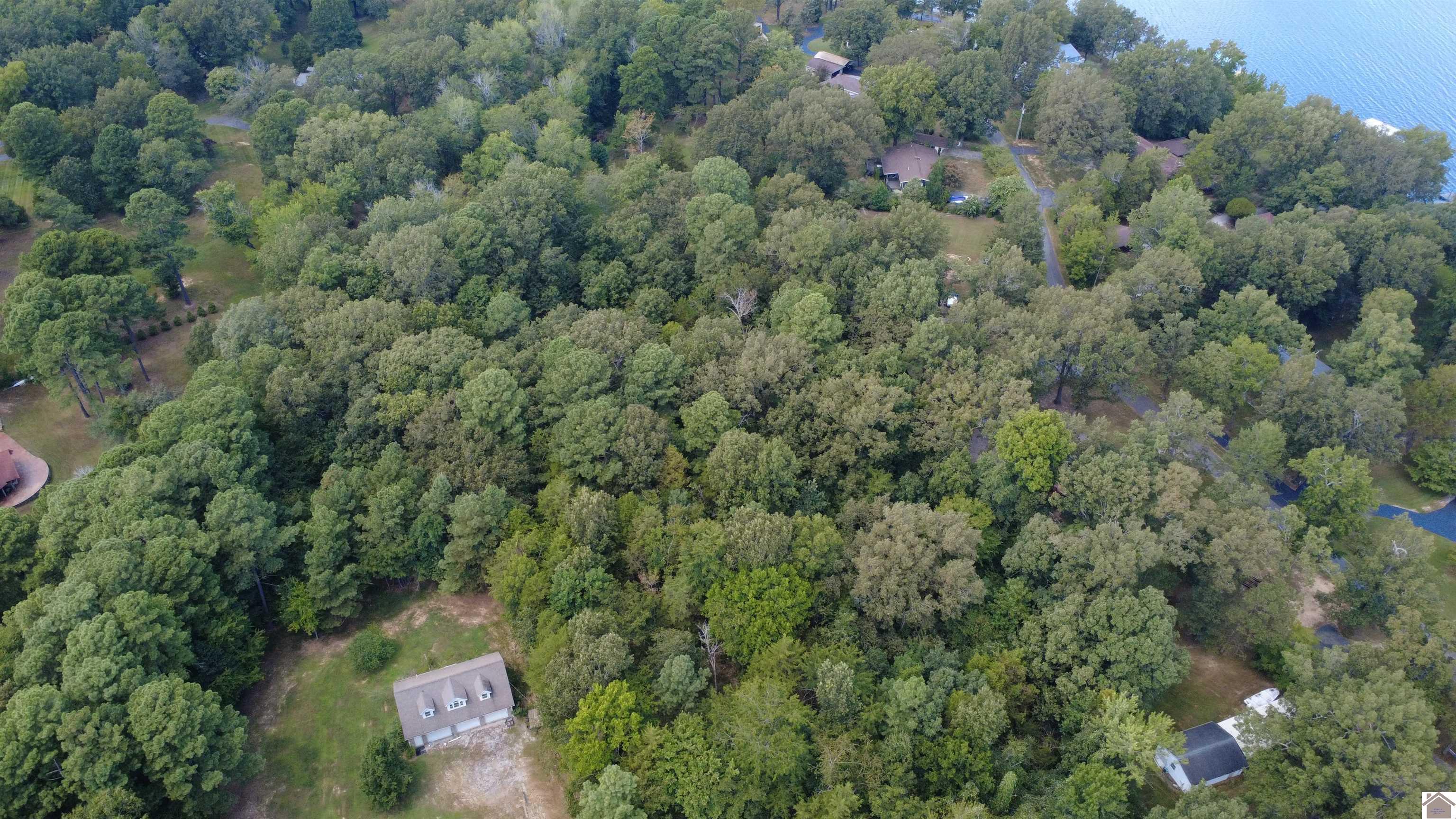 147 Stewart Dr, Benton, KY 42025 Listing Photo  22