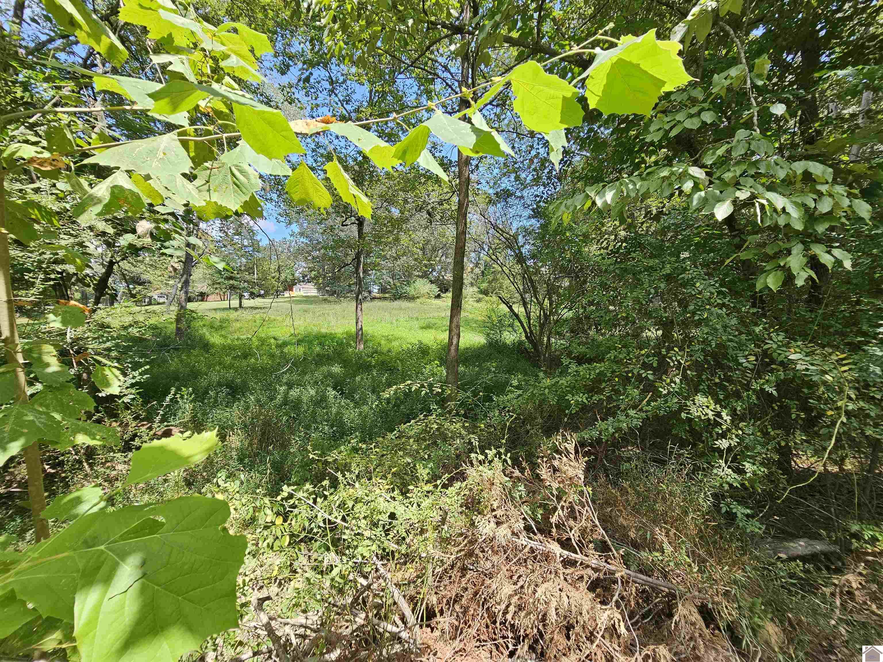 147 Stewart Dr, Benton, KY 42025 Listing Photo  26