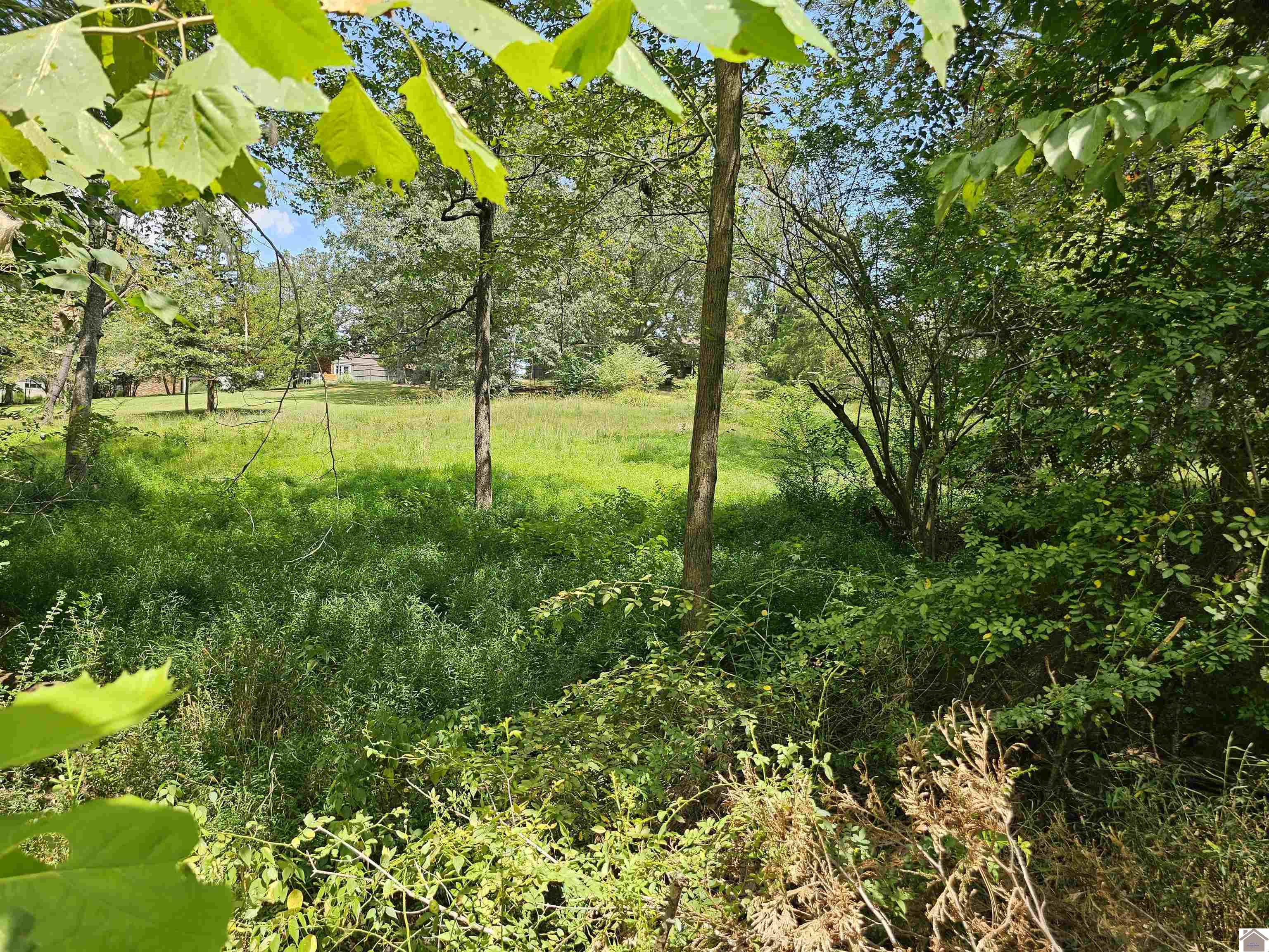 147 Stewart Dr, Benton, KY 42025 Listing Photo  27