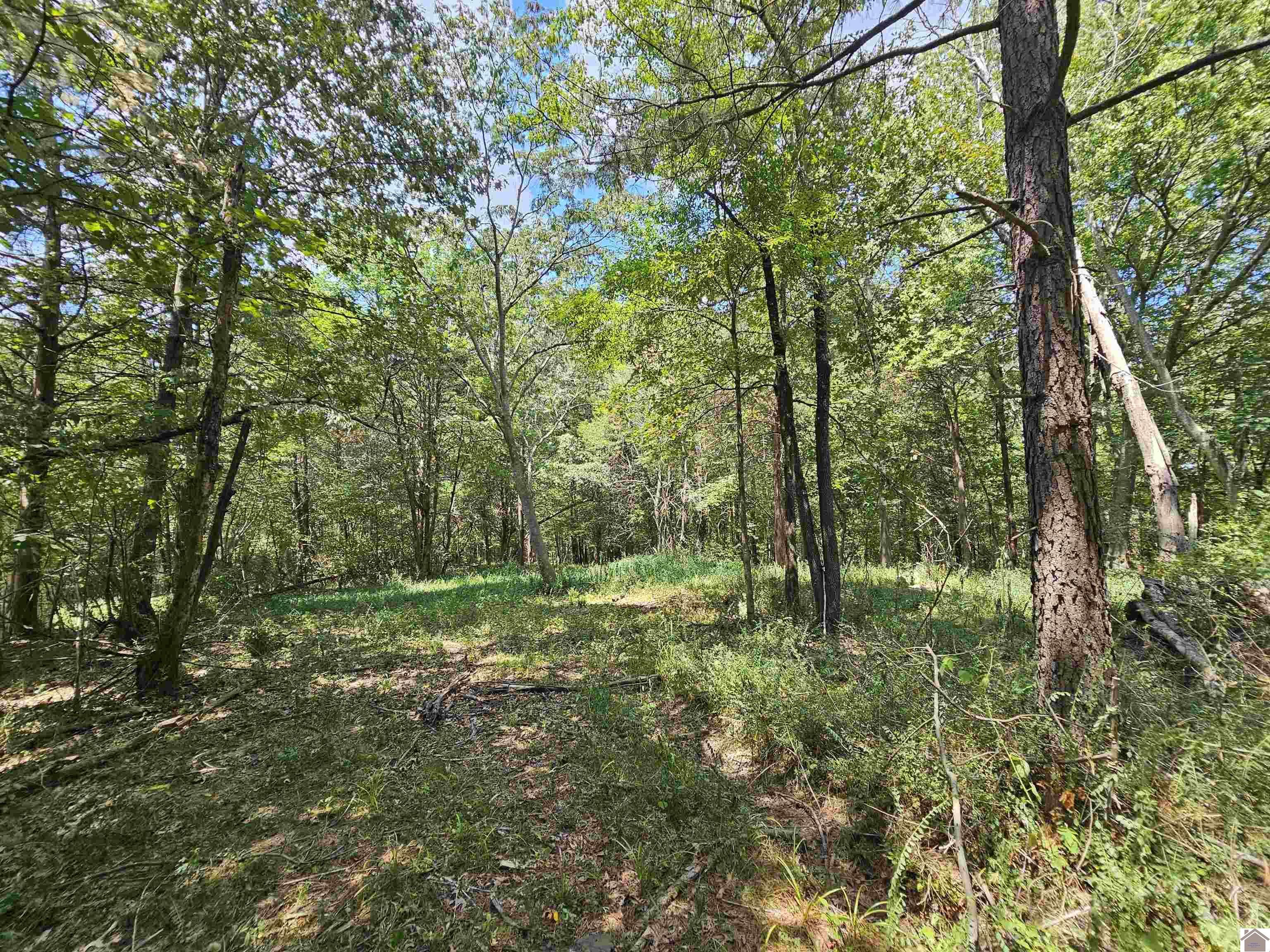 147 Stewart Dr, Benton, KY 42025 Listing Photo  29