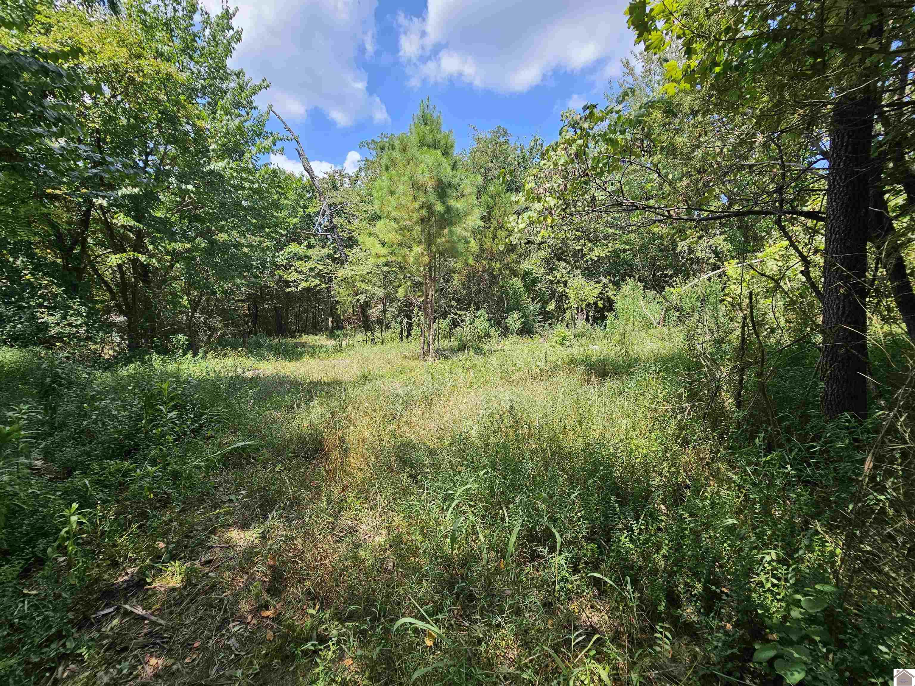 147 Stewart Dr, Benton, KY 42025 Listing Photo  30