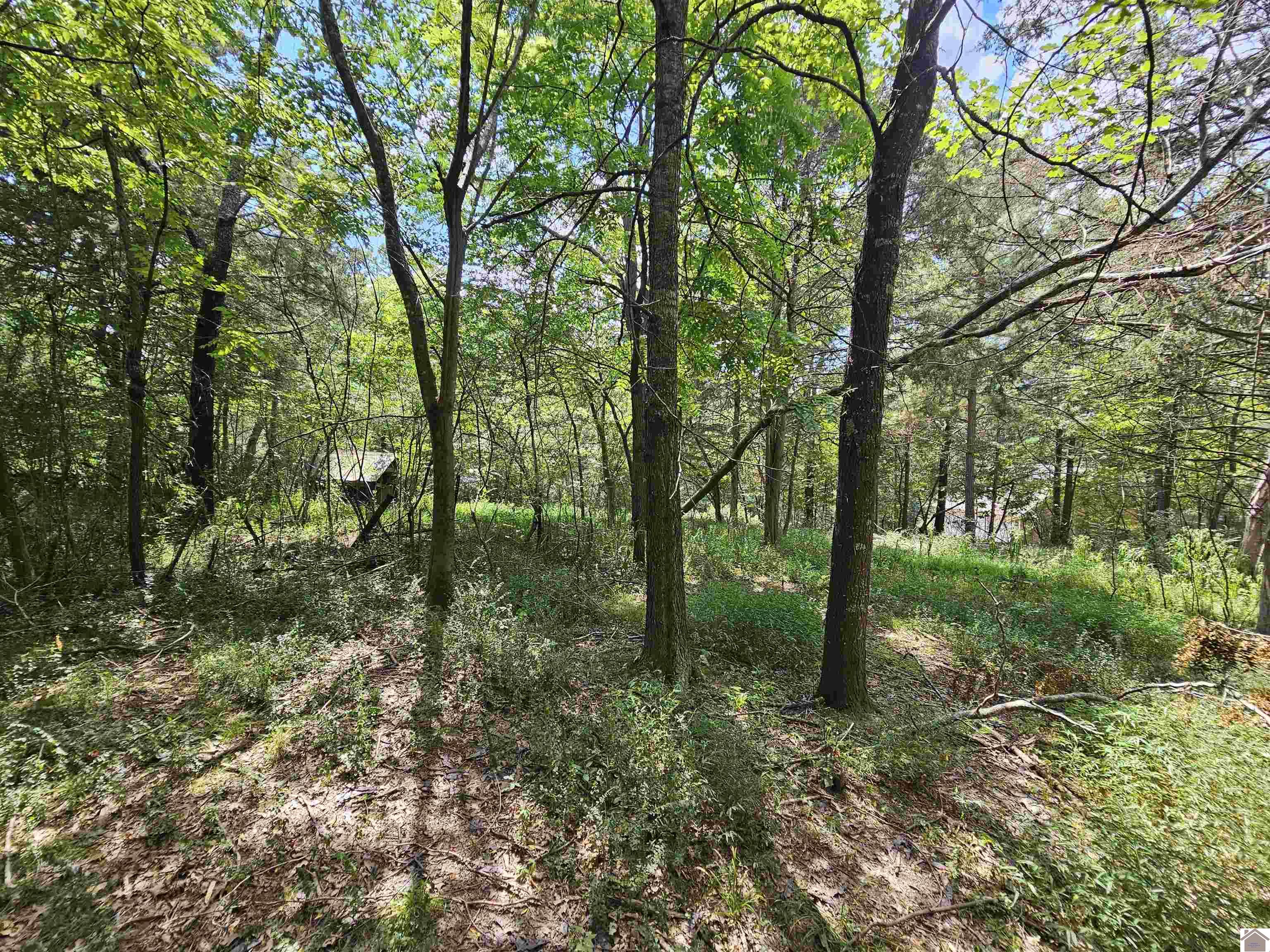 147 Stewart Dr, Benton, KY 42025 Listing Photo  32