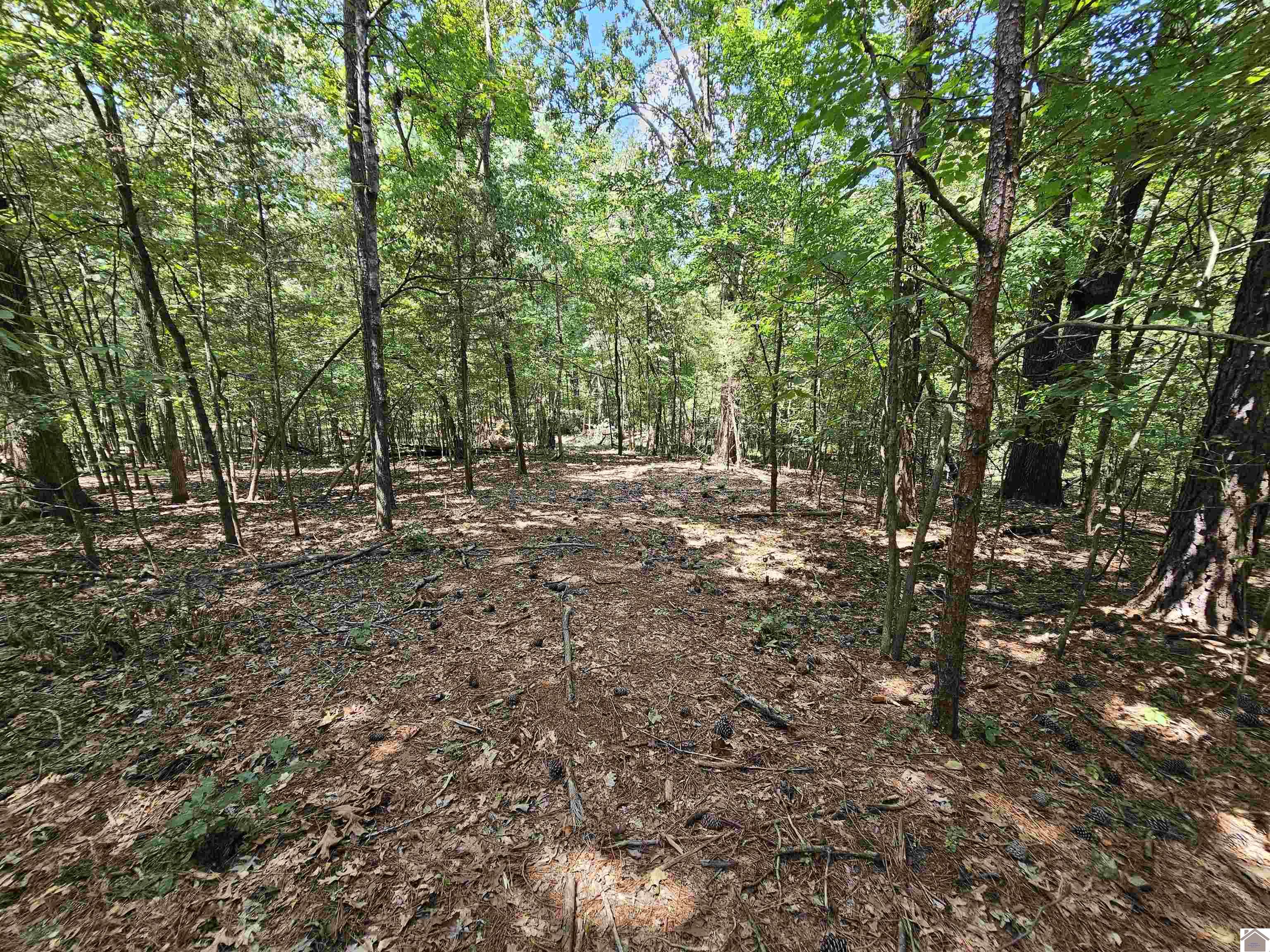 147 Stewart Dr, Benton, KY 42025 Listing Photo  33