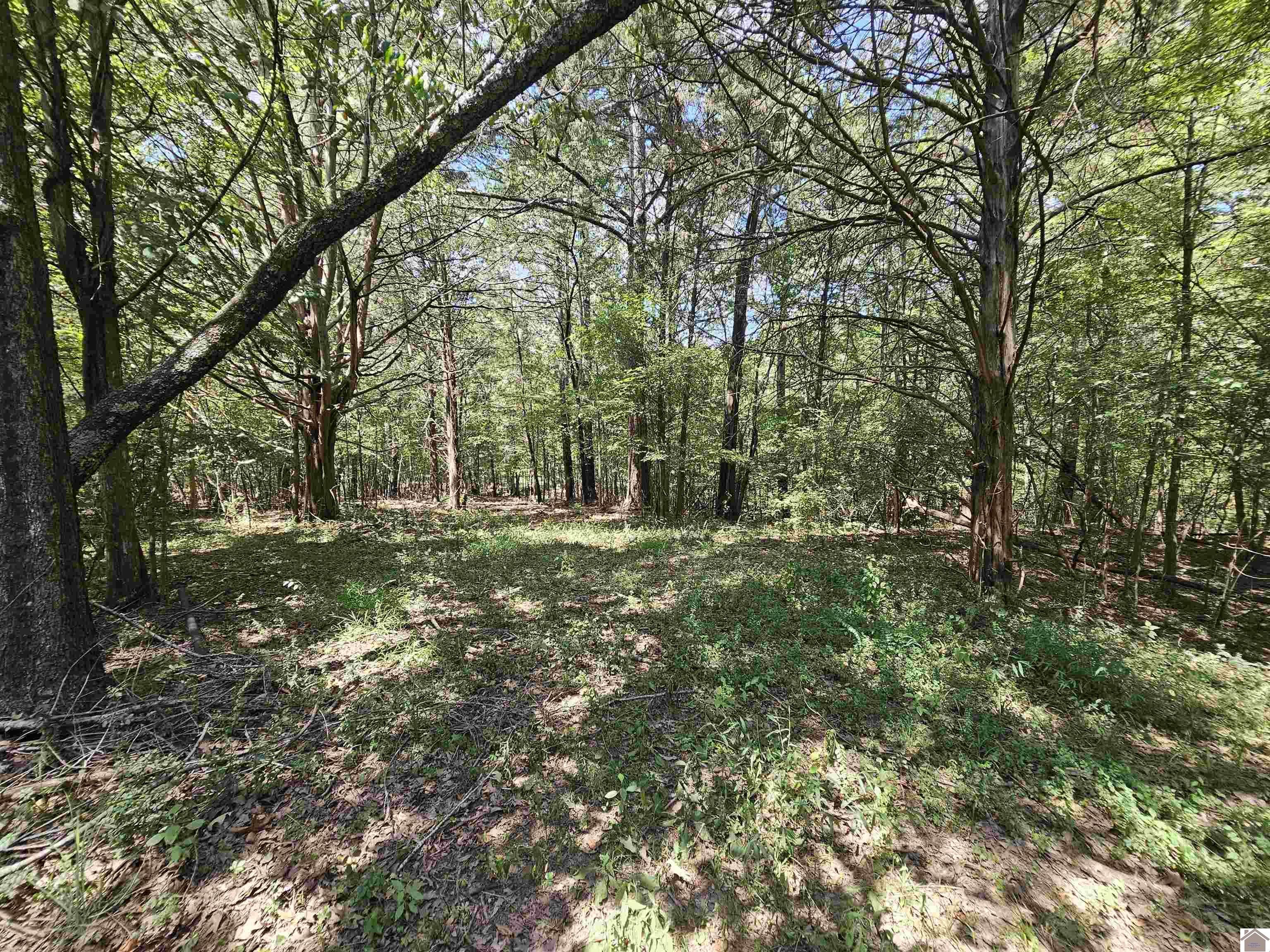 147 Stewart Dr, Benton, KY 42025 Listing Photo  34