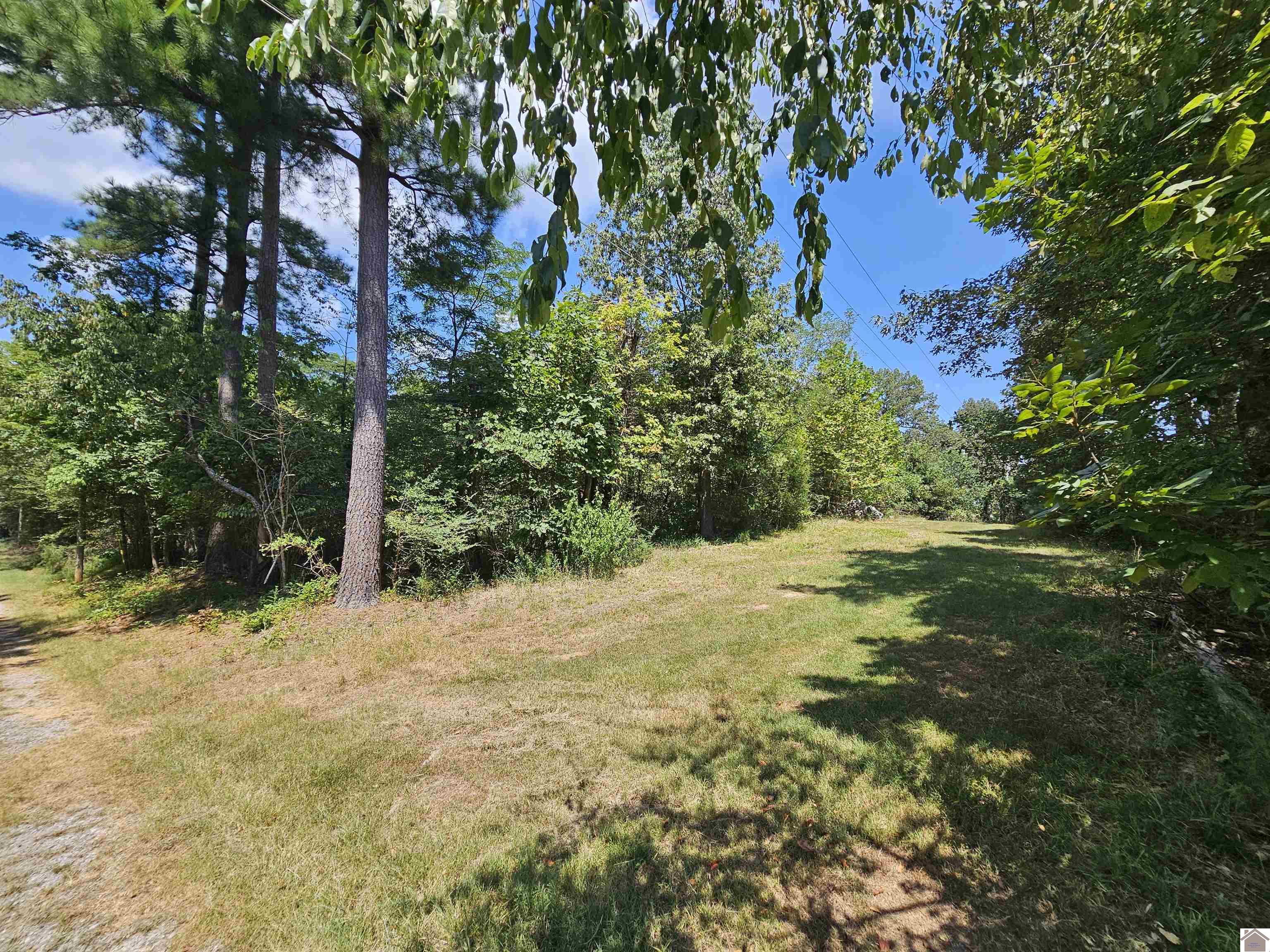 147 Stewart Dr, Benton, KY 42025 Listing Photo  37