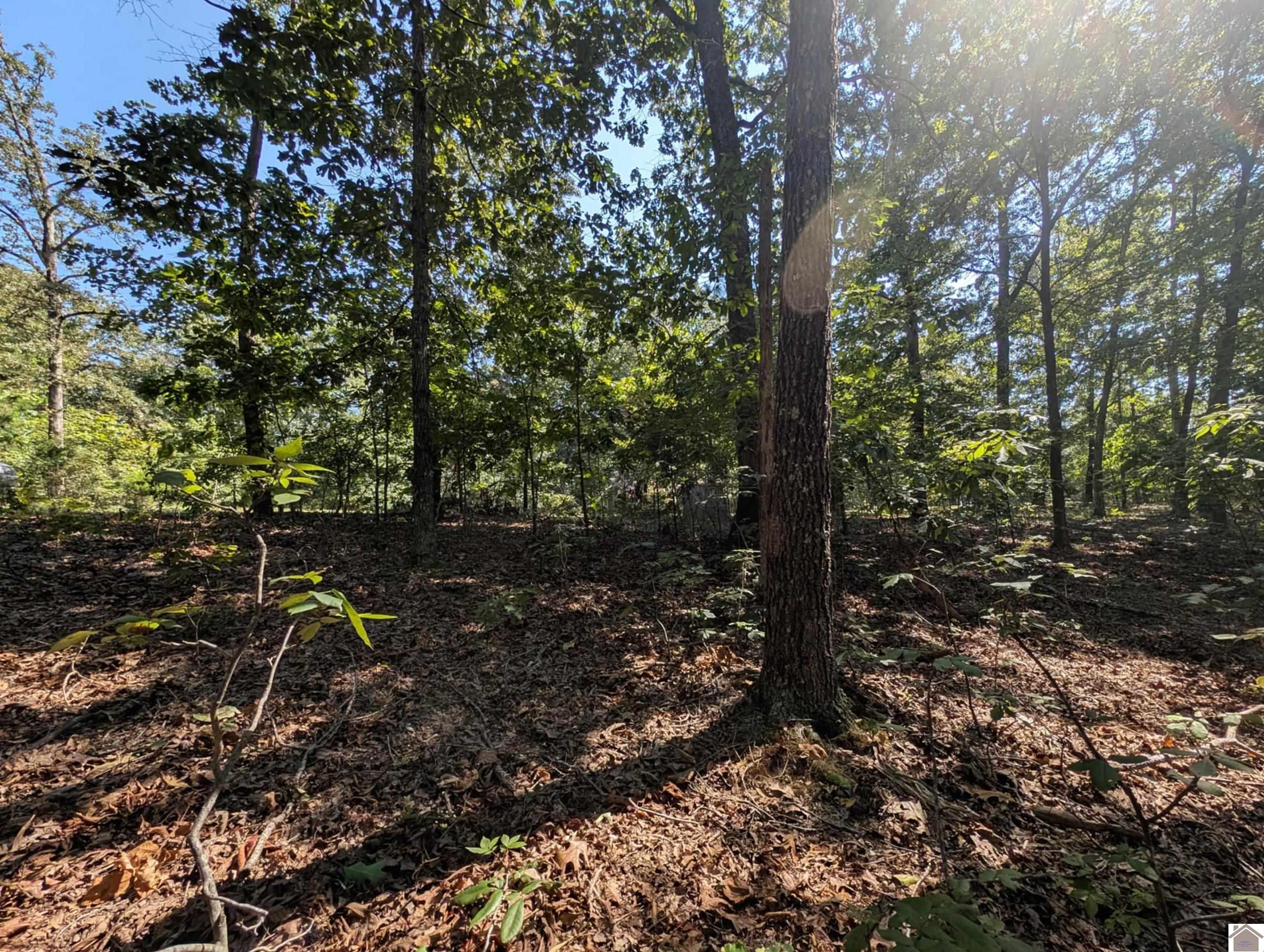 Lot 130 Eagle Look Lane, Murray, KY 42071 Listing Photo  1