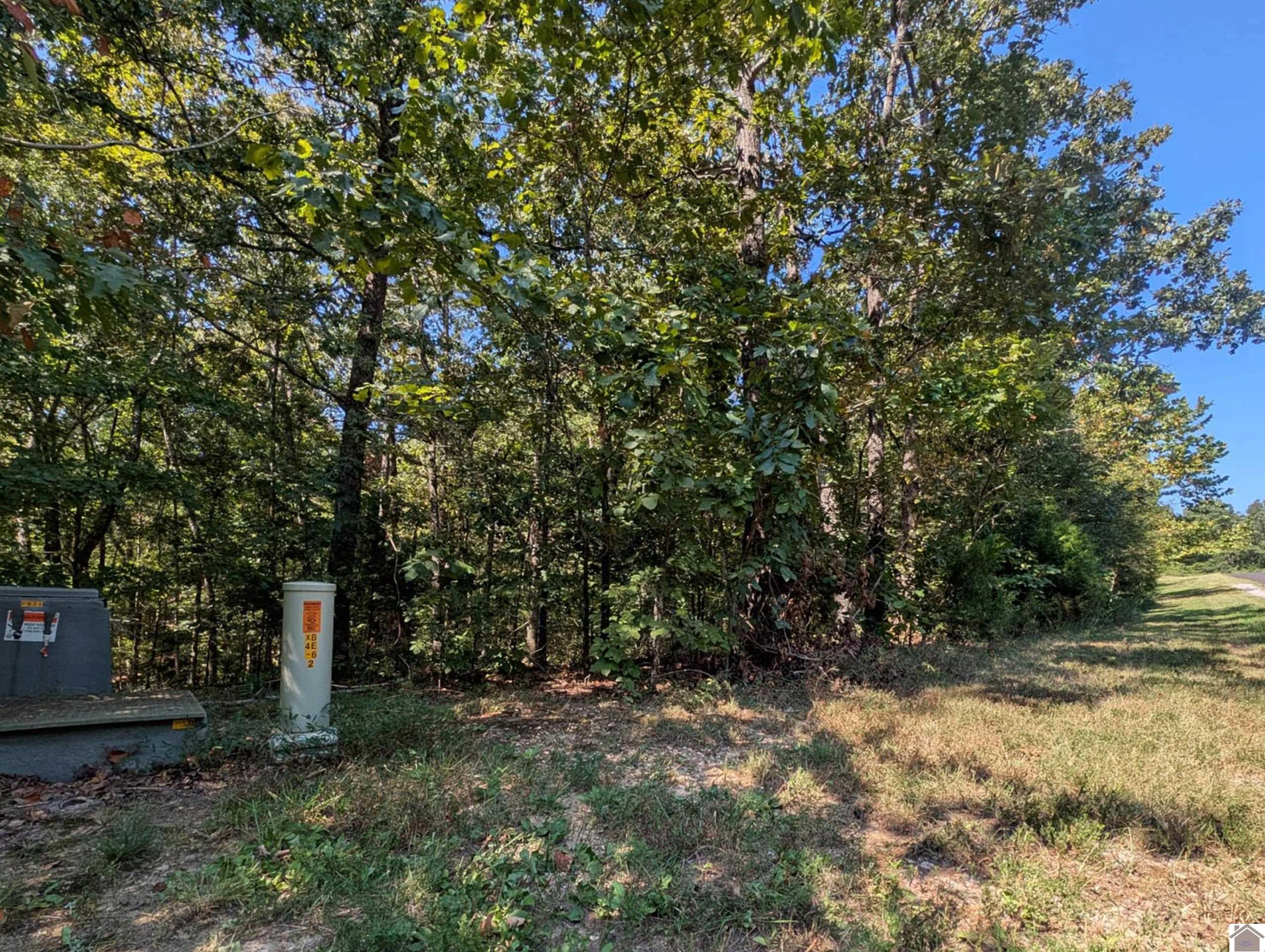 Lot 130 Eagle Look Lane, Murray, KY 42071 Listing Photo  2