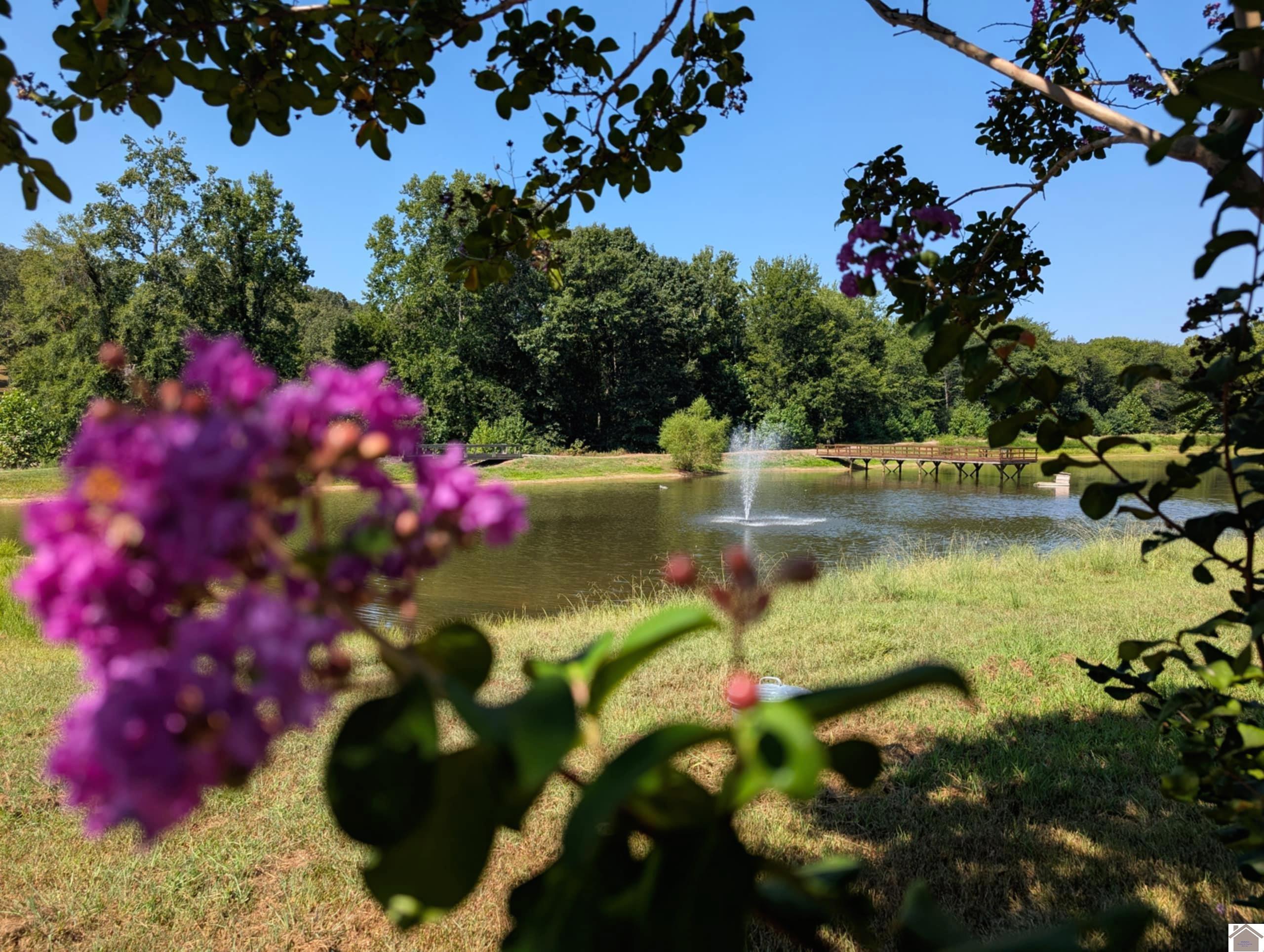 Lot 130 Eagle Look Lane, Murray, KY 42071 Listing Photo  9