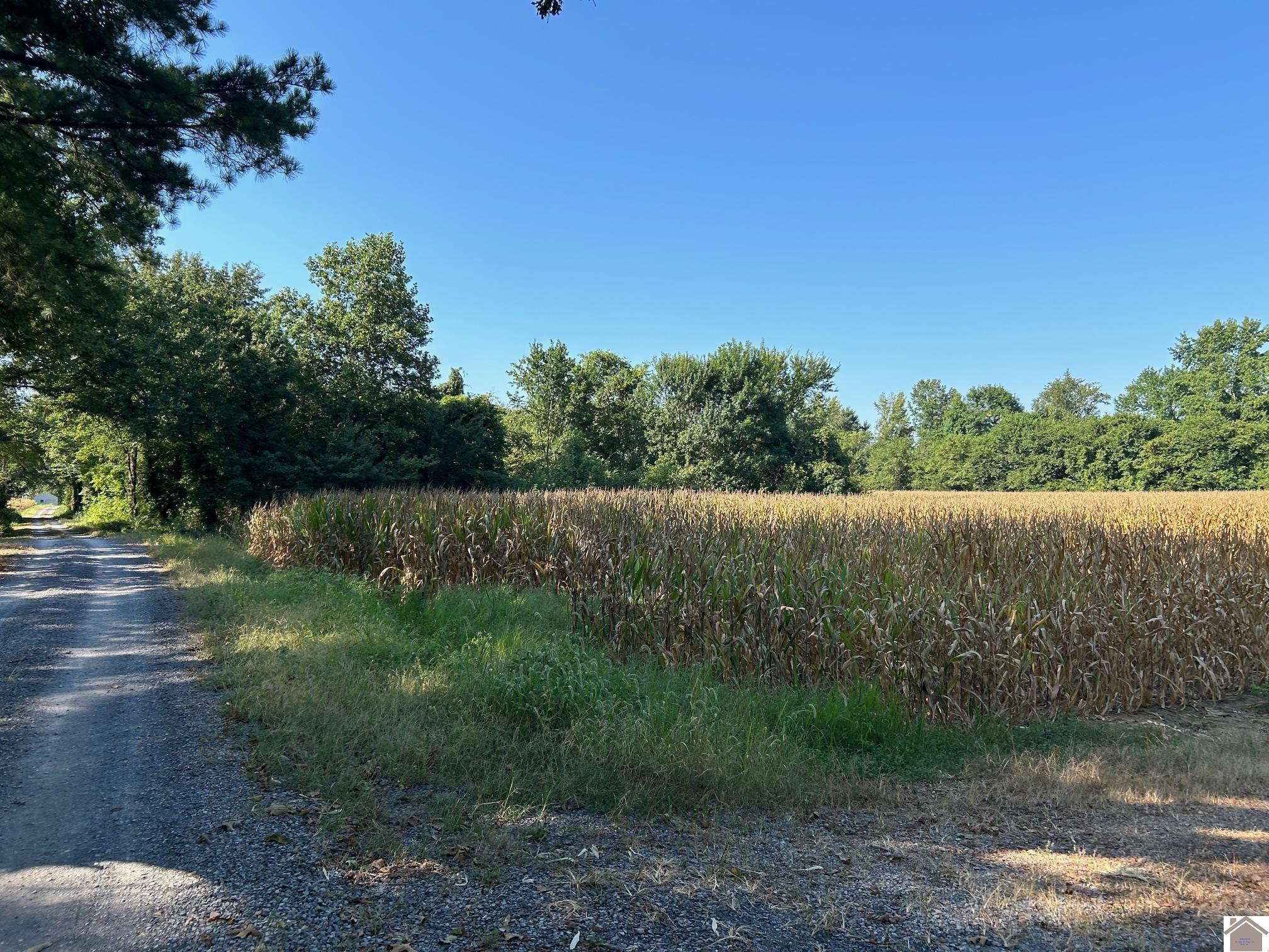 000 Arnett Lane, Murray, KY 42071 Listing Photo  2