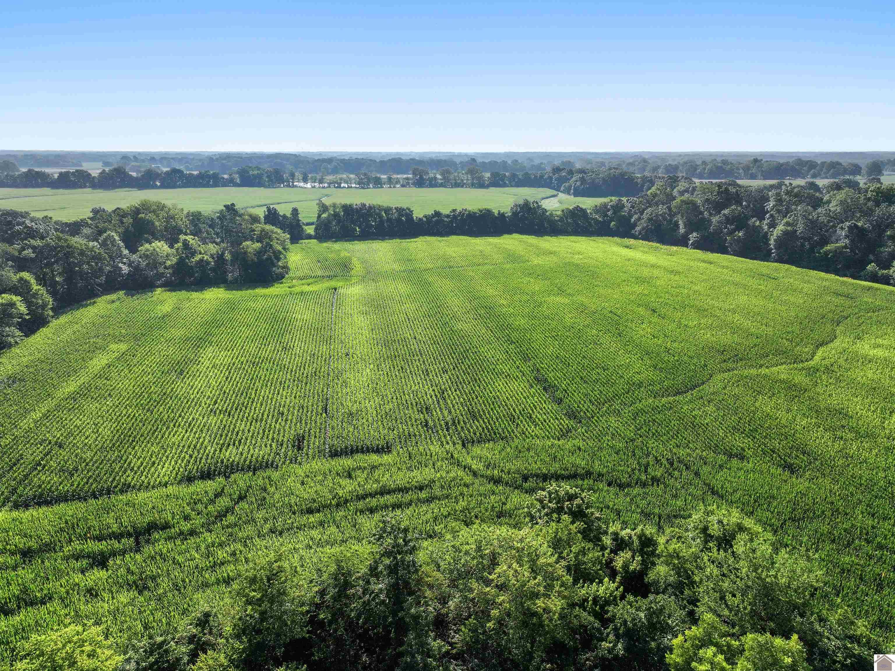 000 Arnett Lane, Murray, KY 42071 Listing Photo  17