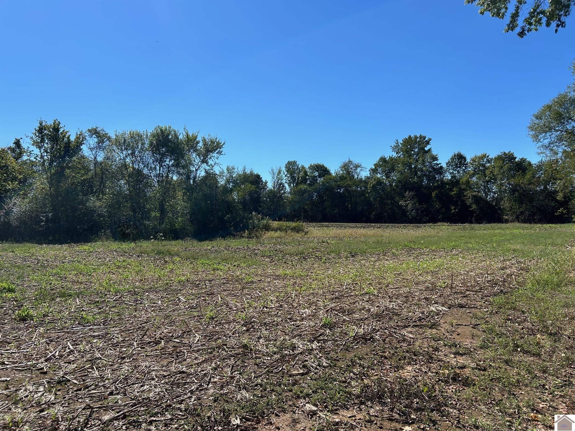 000 Arnett Lane, Murray, KY 42071 Listing Photo  5