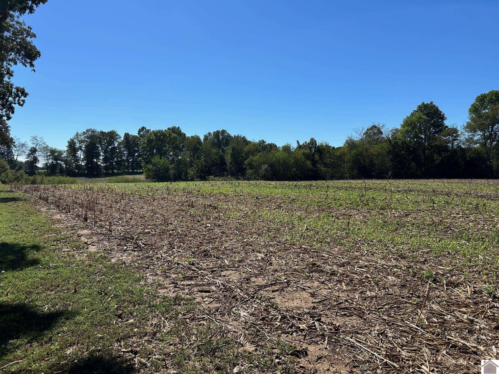 000 Arnett Lane, Murray, KY 42071 Listing Photo  9