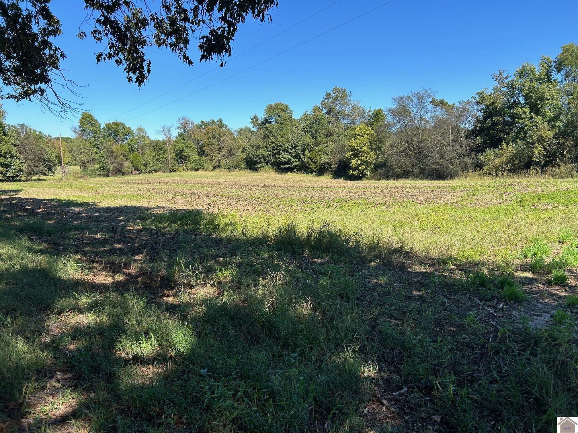 000 Arnett Lane, Murray, KY 42071 Listing Photo  10
