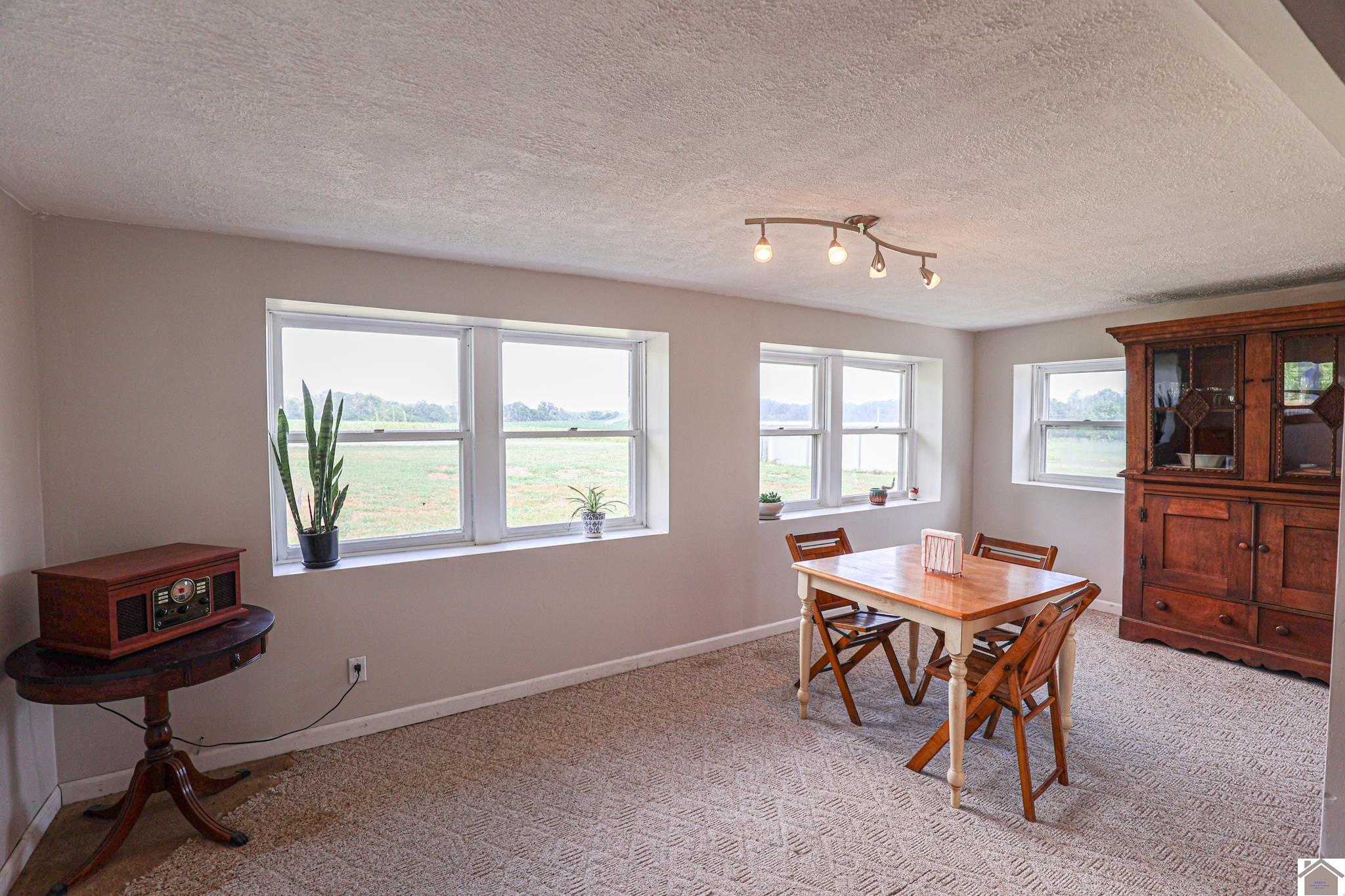 3915 Hobbs Road, Kevil, KY 42053 Listing Photo  22