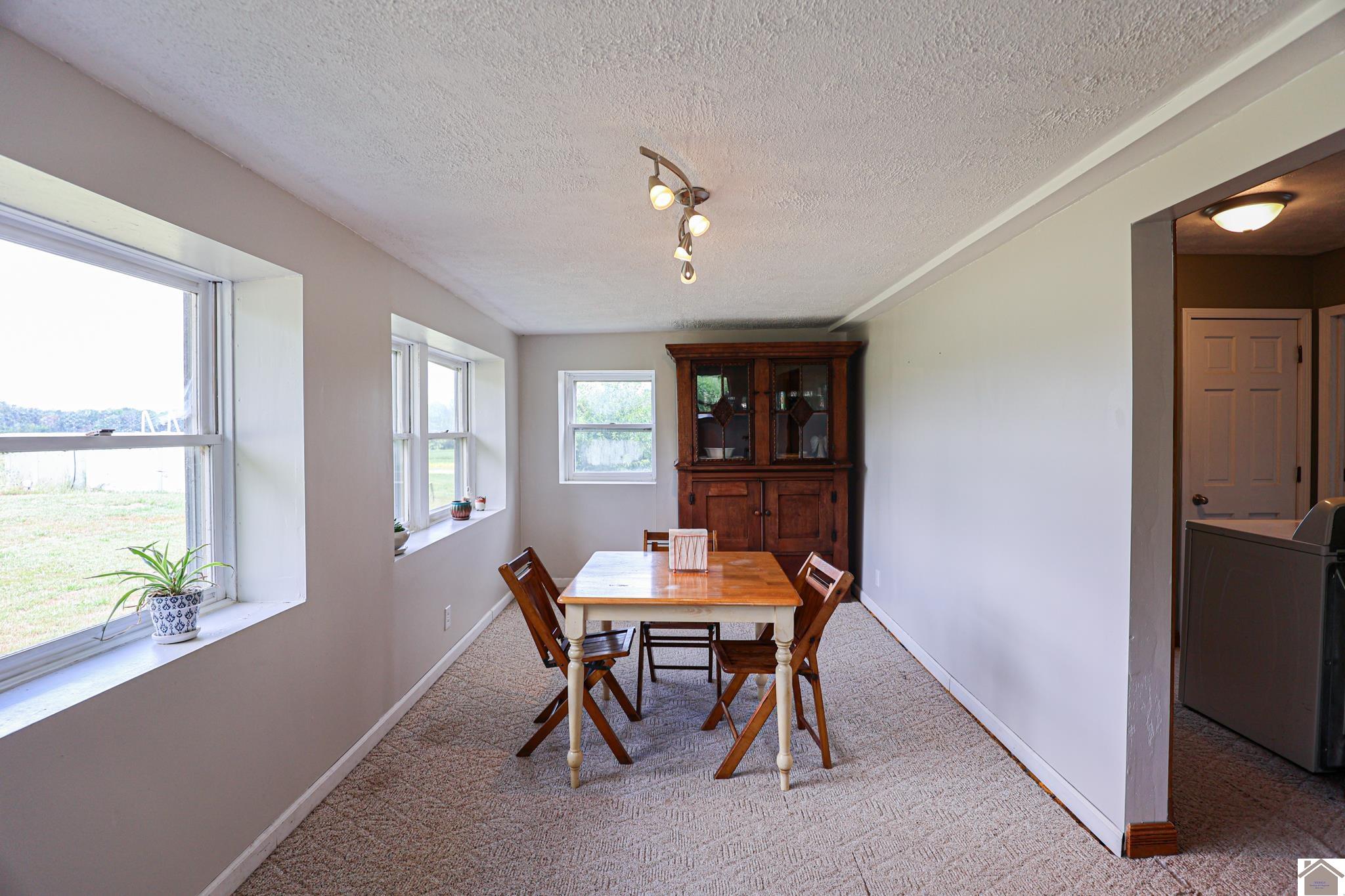 3915 Hobbs Road, Kevil, KY 42053 Listing Photo  23