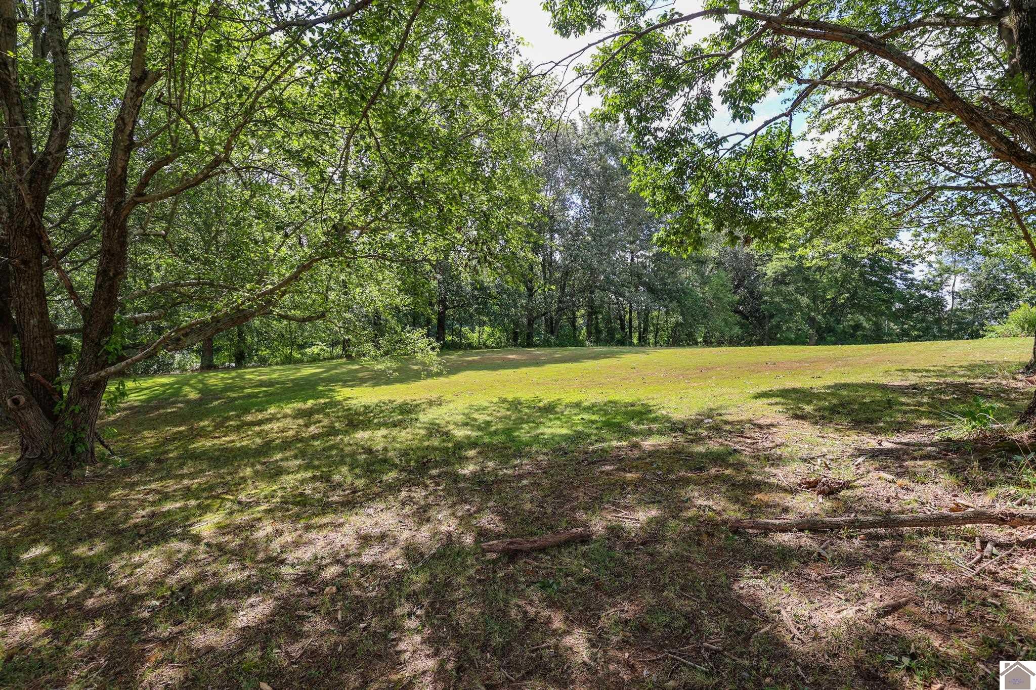 3915 Hobbs Road, Kevil, KY 42053 Listing Photo  41