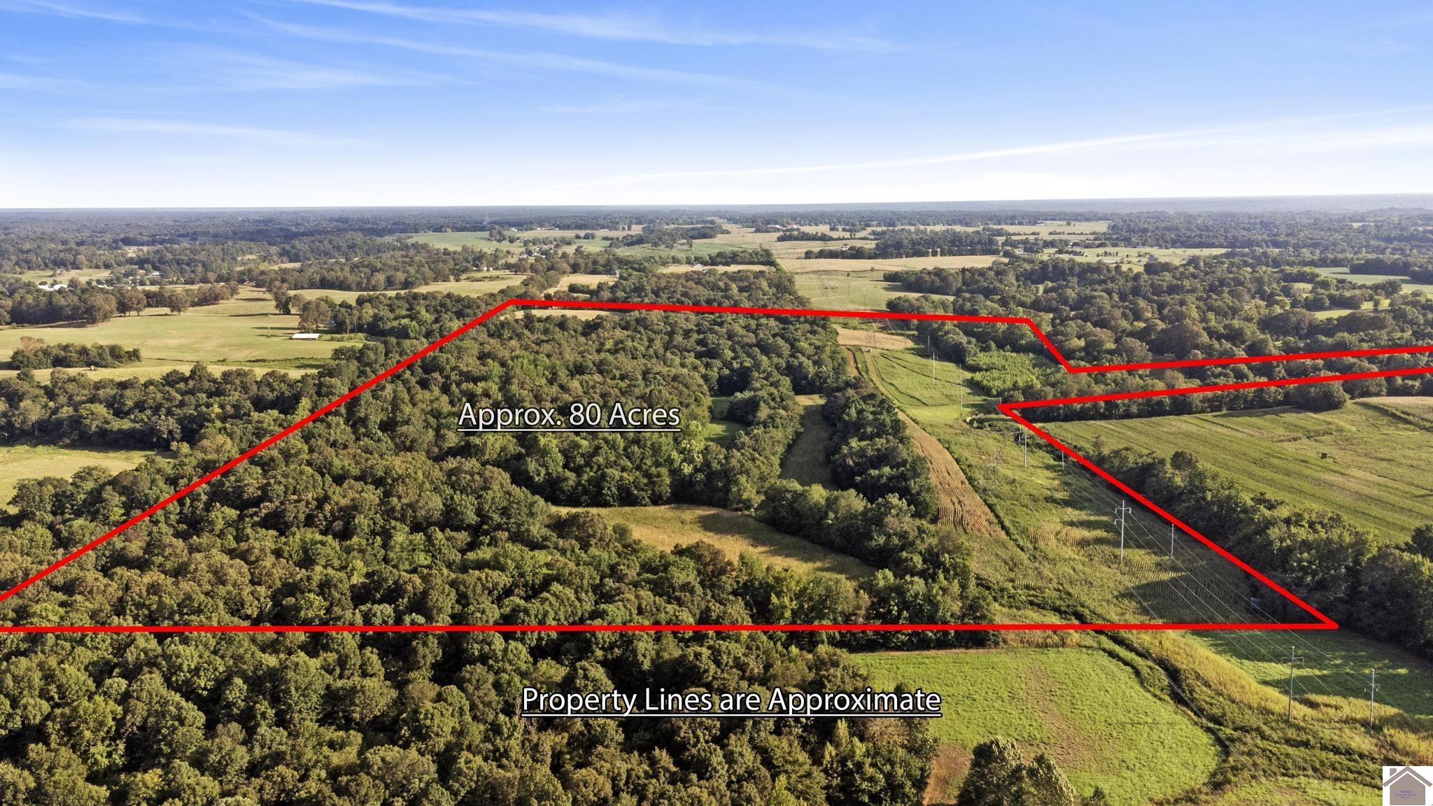 00 Briensburg Tatumsville Rd., Benton, KY 42025 Listing Photo  2
