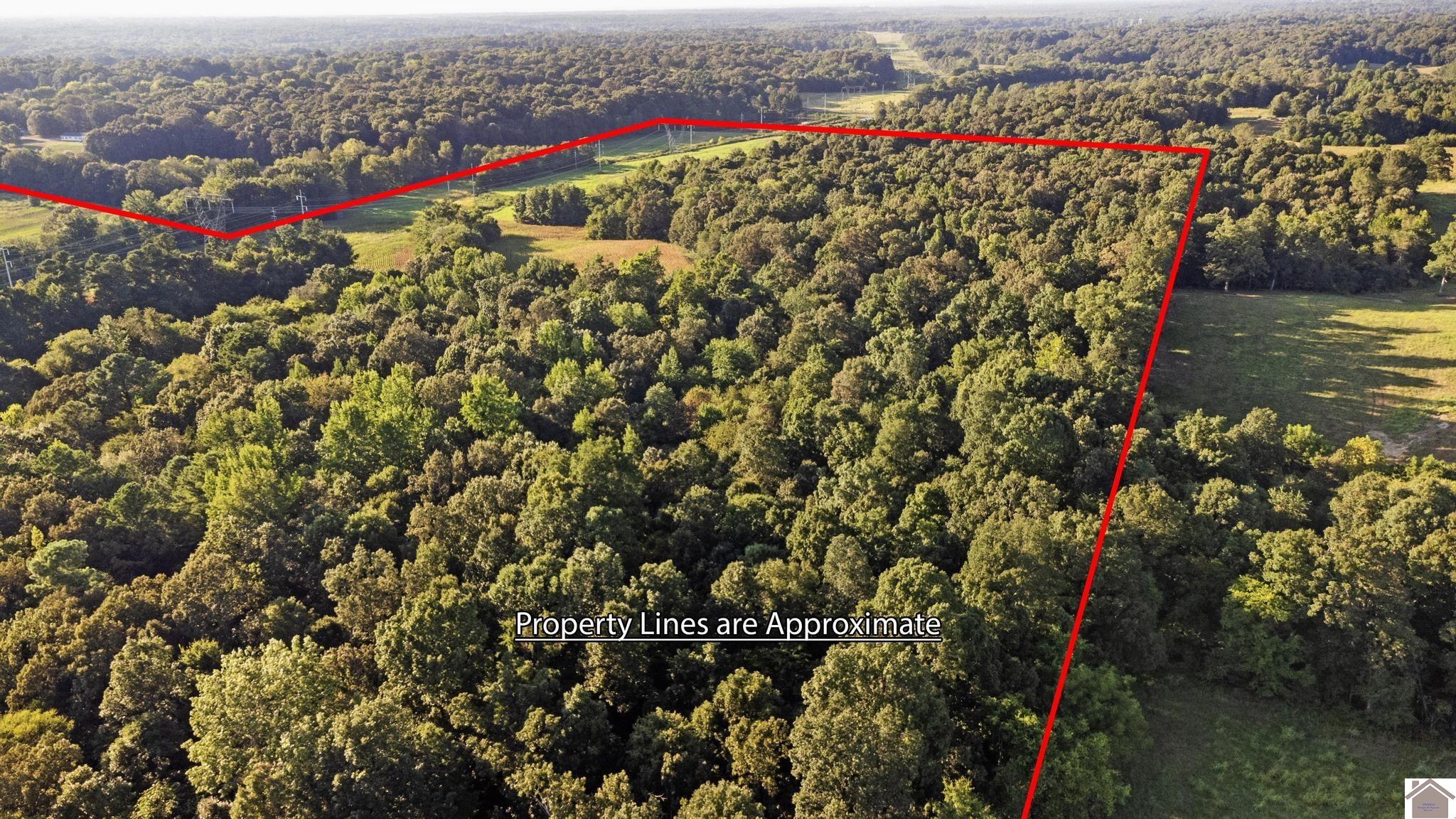 00 Briensburg Tatumsville Rd., Benton, KY 42025 Listing Photo  12