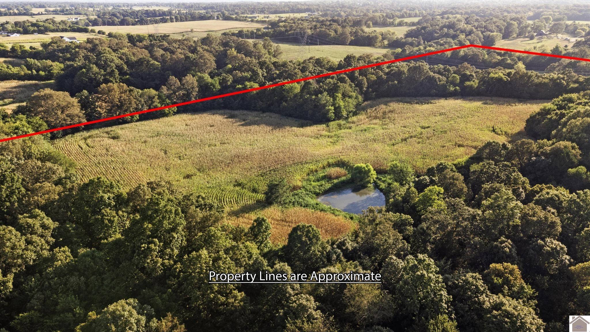 00 Briensburg Tatumsville Rd., Benton, KY 42025 Listing Photo  13