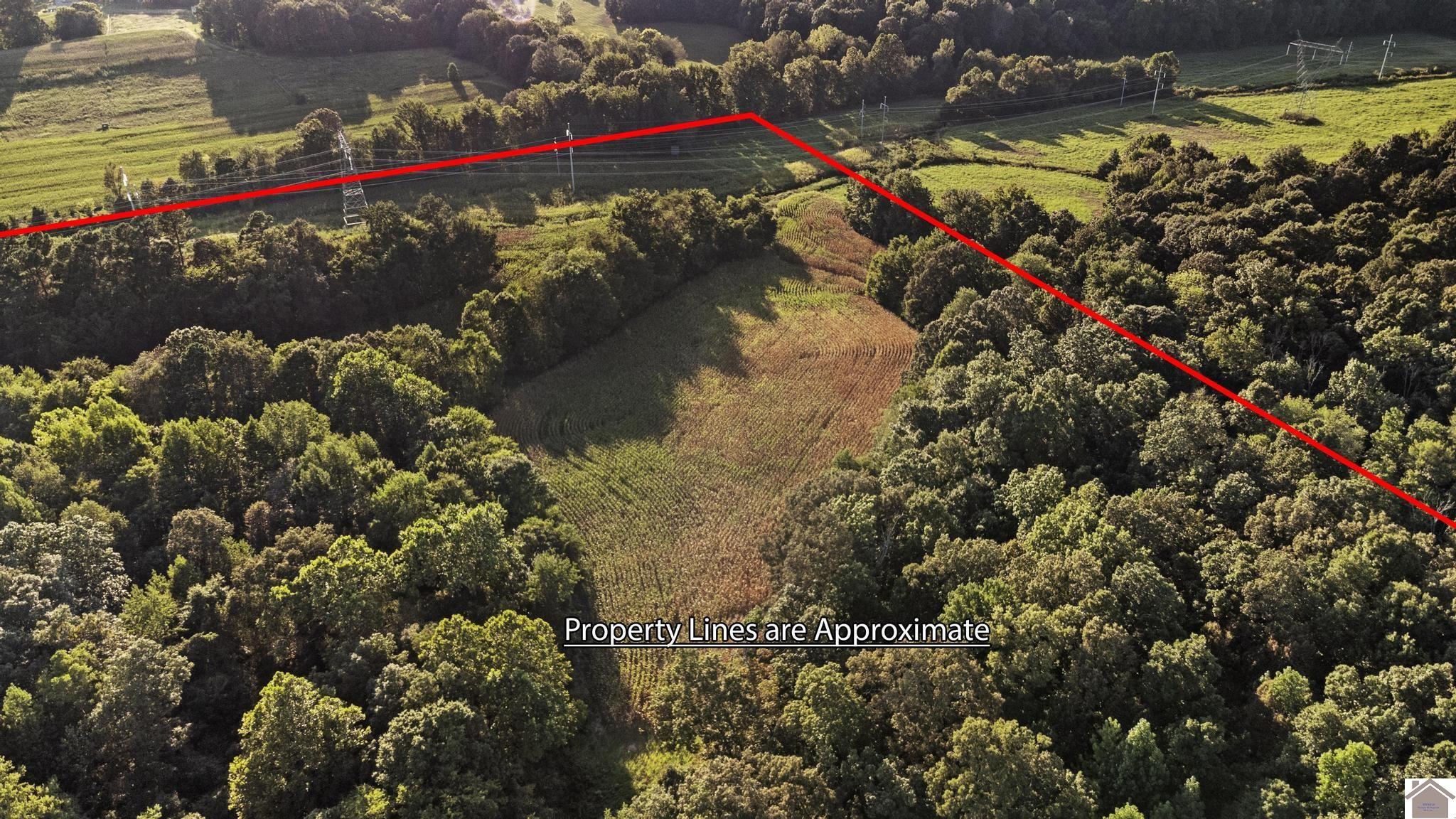 00 Briensburg Tatumsville Rd., Benton, KY 42025 Listing Photo  14