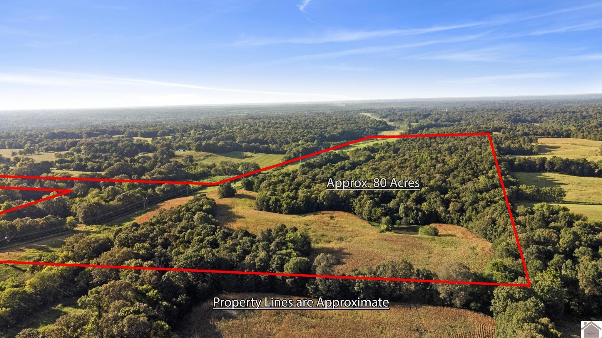 00 Briensburg Tatumsville Rd., Benton, KY 42025 Listing Photo  22