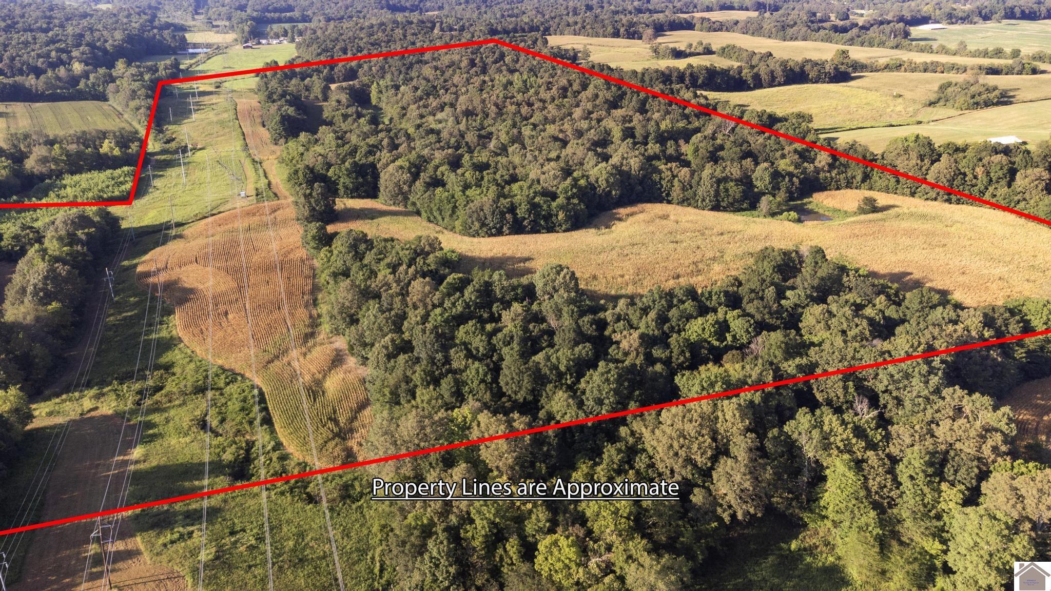 00 Briensburg Tatumsville Rd., Benton, KY 42025 Listing Photo  23