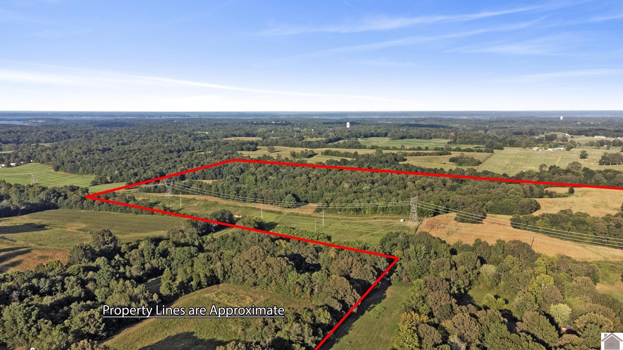 00 Briensburg Tatumsville Rd., Benton, KY 42025 Listing Photo  4