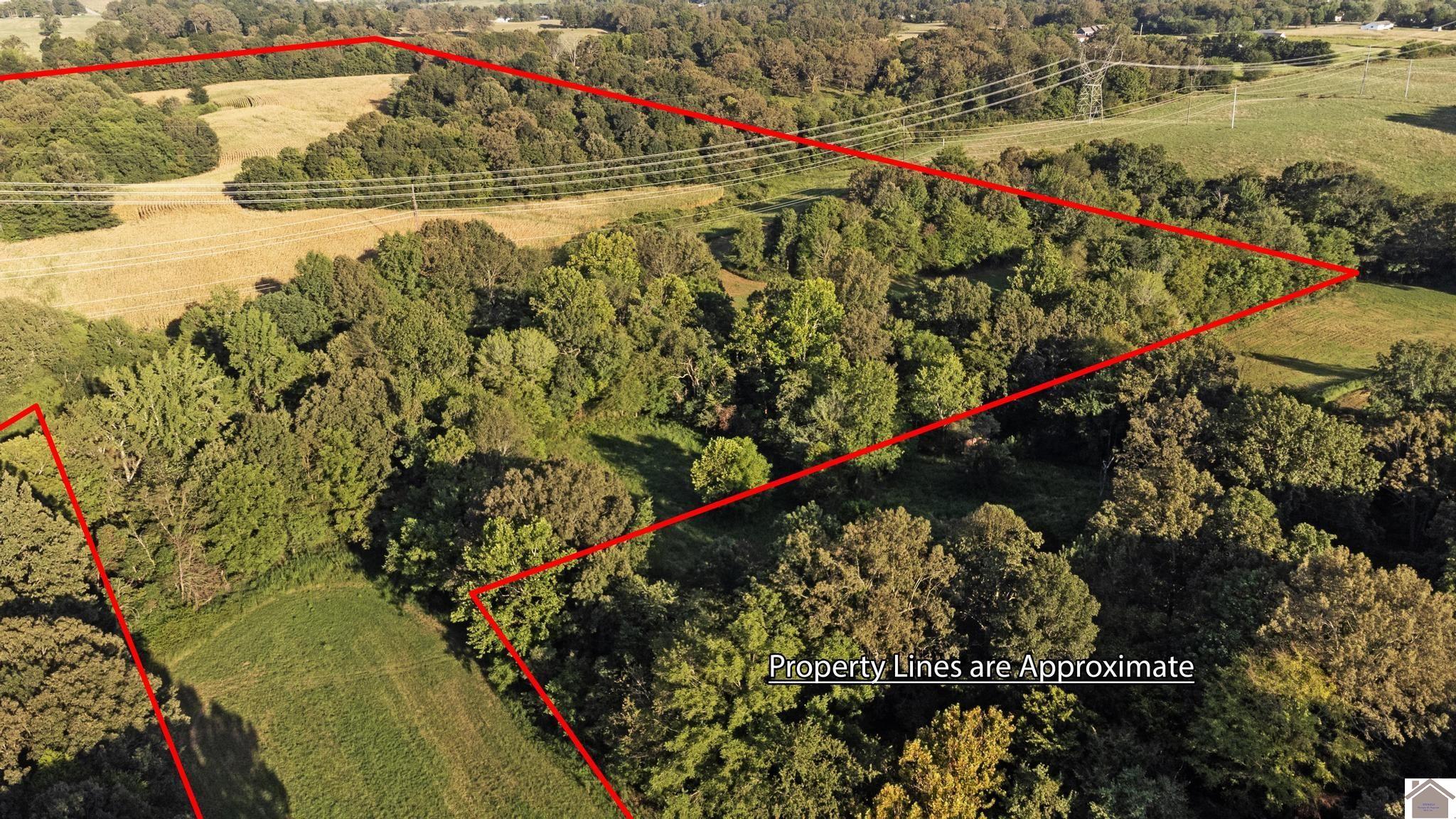 00 Briensburg Tatumsville Rd., Benton, KY 42025 Listing Photo  31