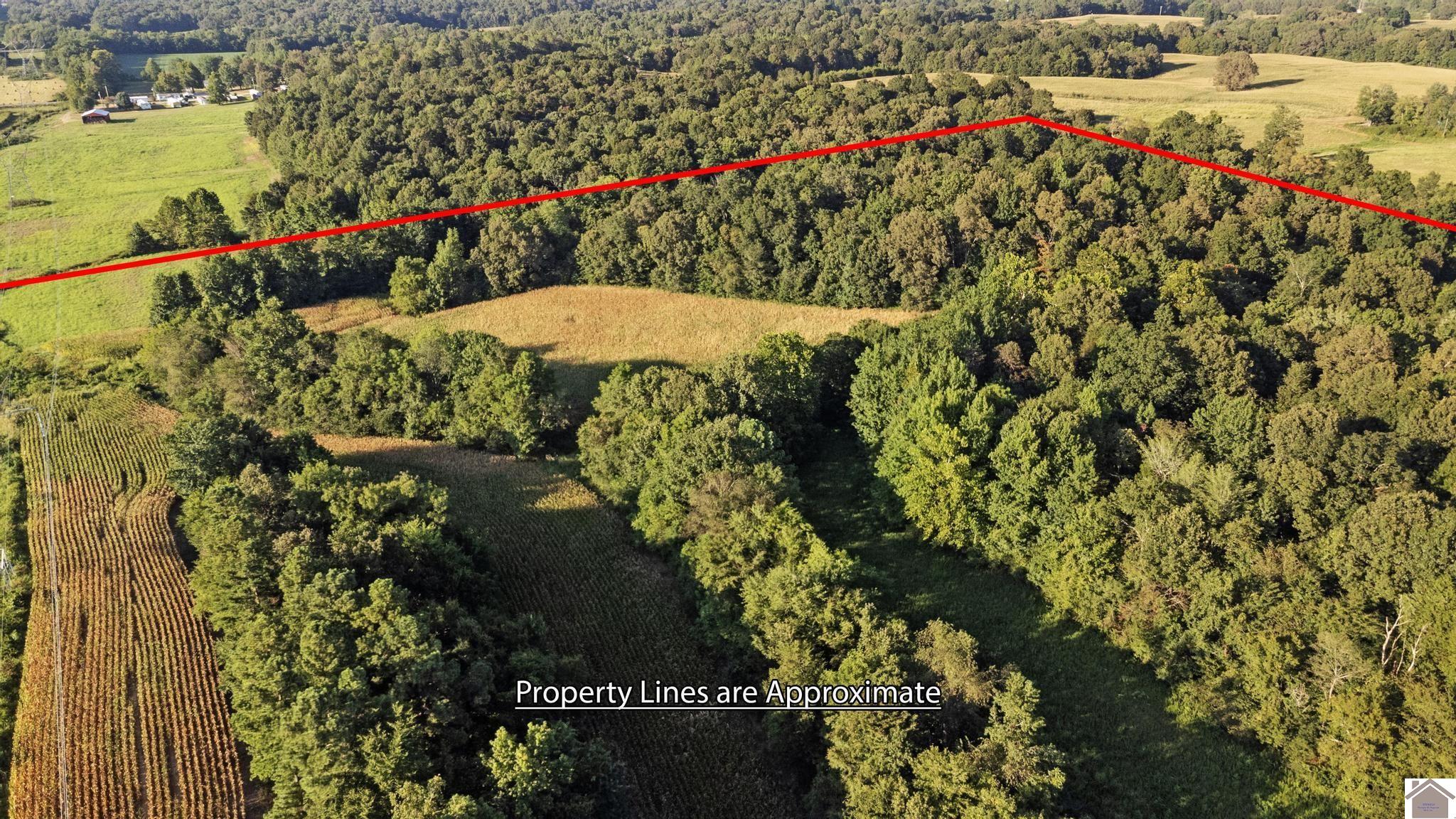 00 Briensburg Tatumsville Rd., Benton, KY 42025 Listing Photo  33