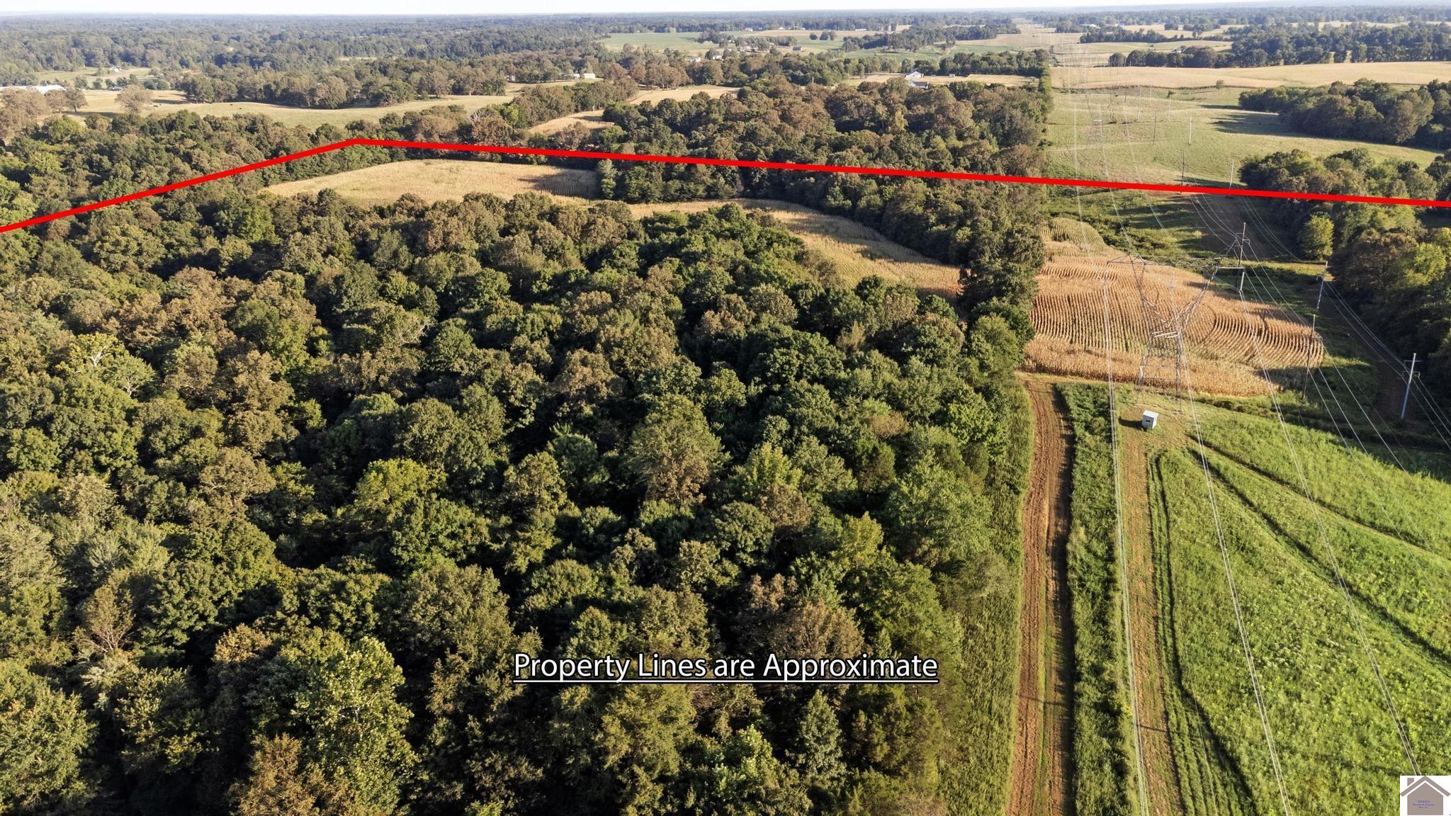 00 Briensburg Tatumsville Rd., Benton, KY 42025 Listing Photo  34