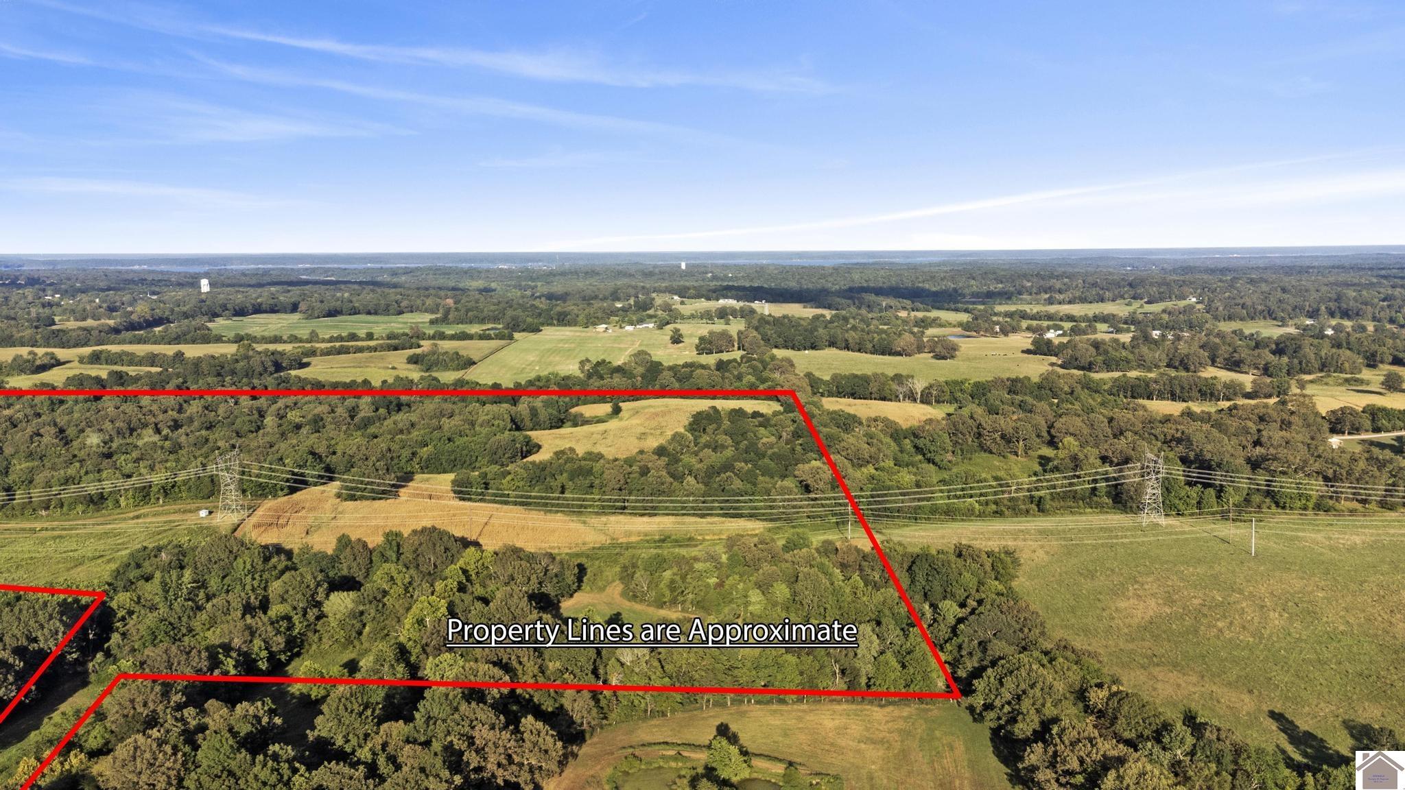 00 Briensburg Tatumsville Rd., Benton, KY 42025 Listing Photo  8