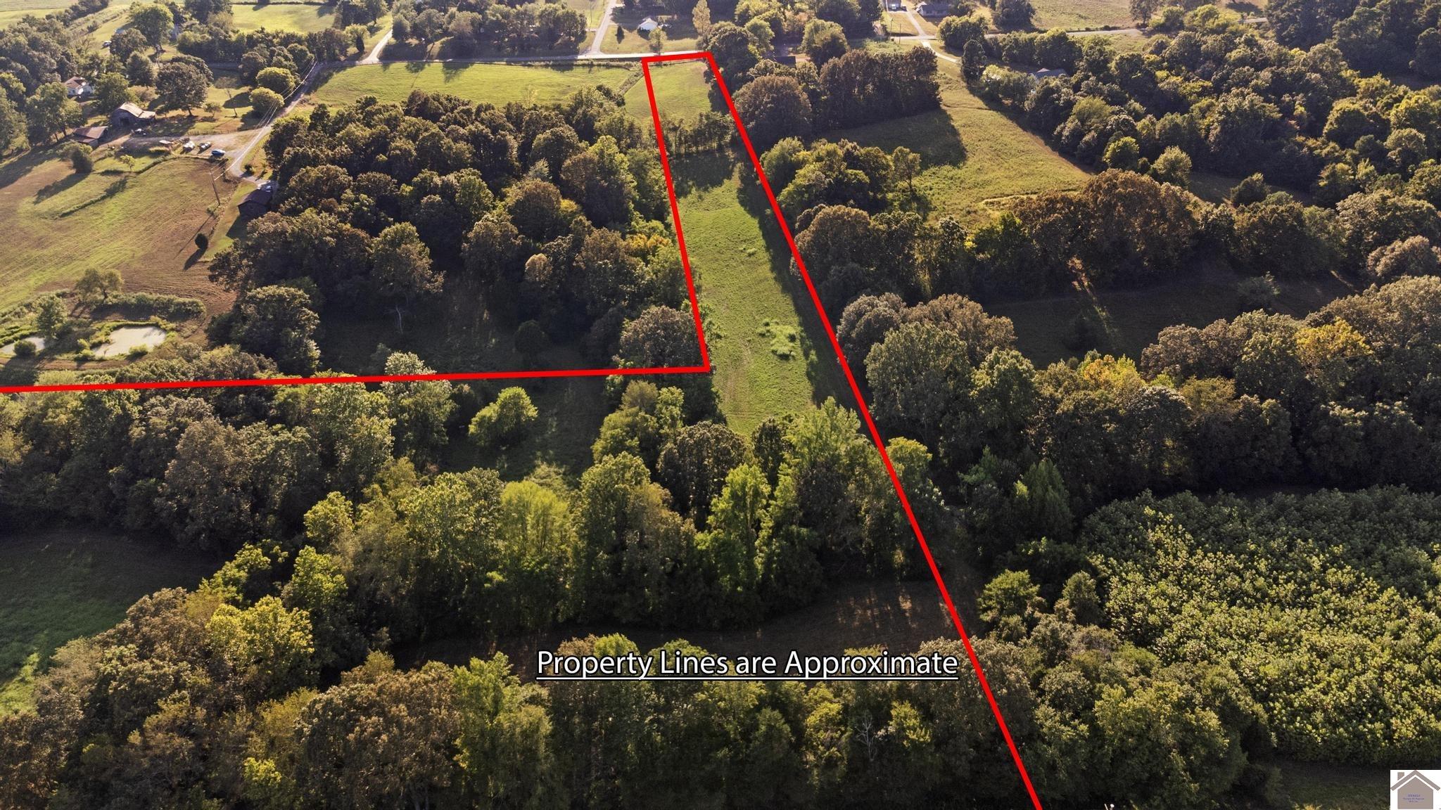 00 Briensburg Tatumsville Rd., Benton, KY 42025 Listing Photo  9