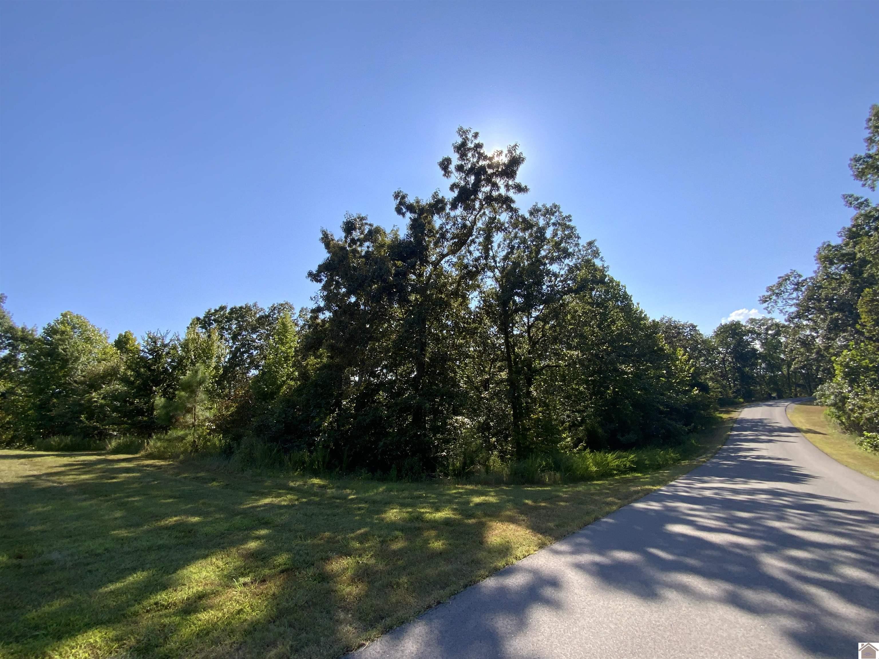LOTS 71,72,73 DOCK DRIVE, Murray, KY 42071 Listing Photo  1