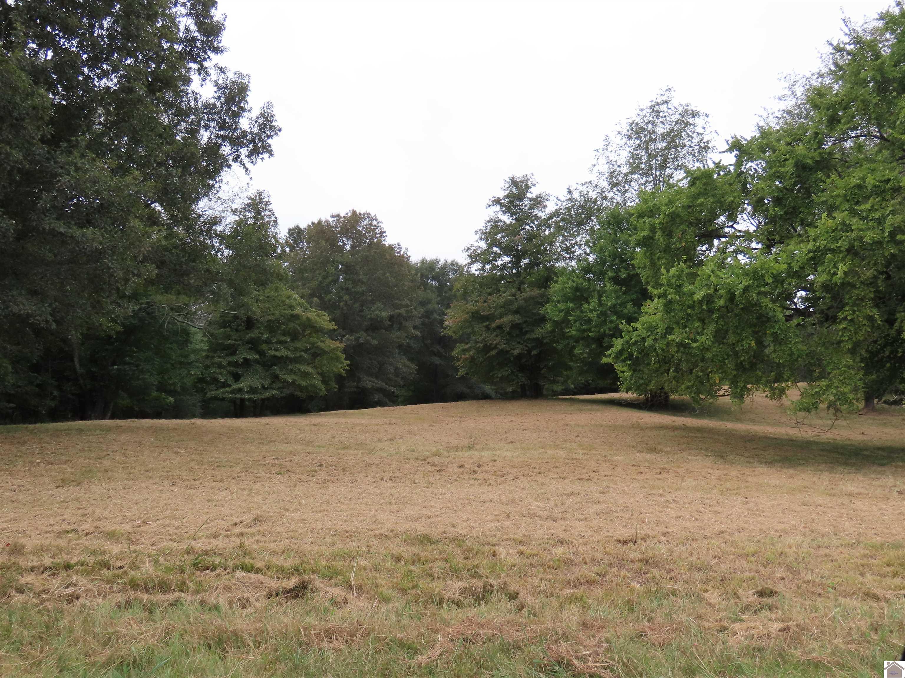 00 Pacific Ave., Wingo, KY 42088 Listing Photo  2