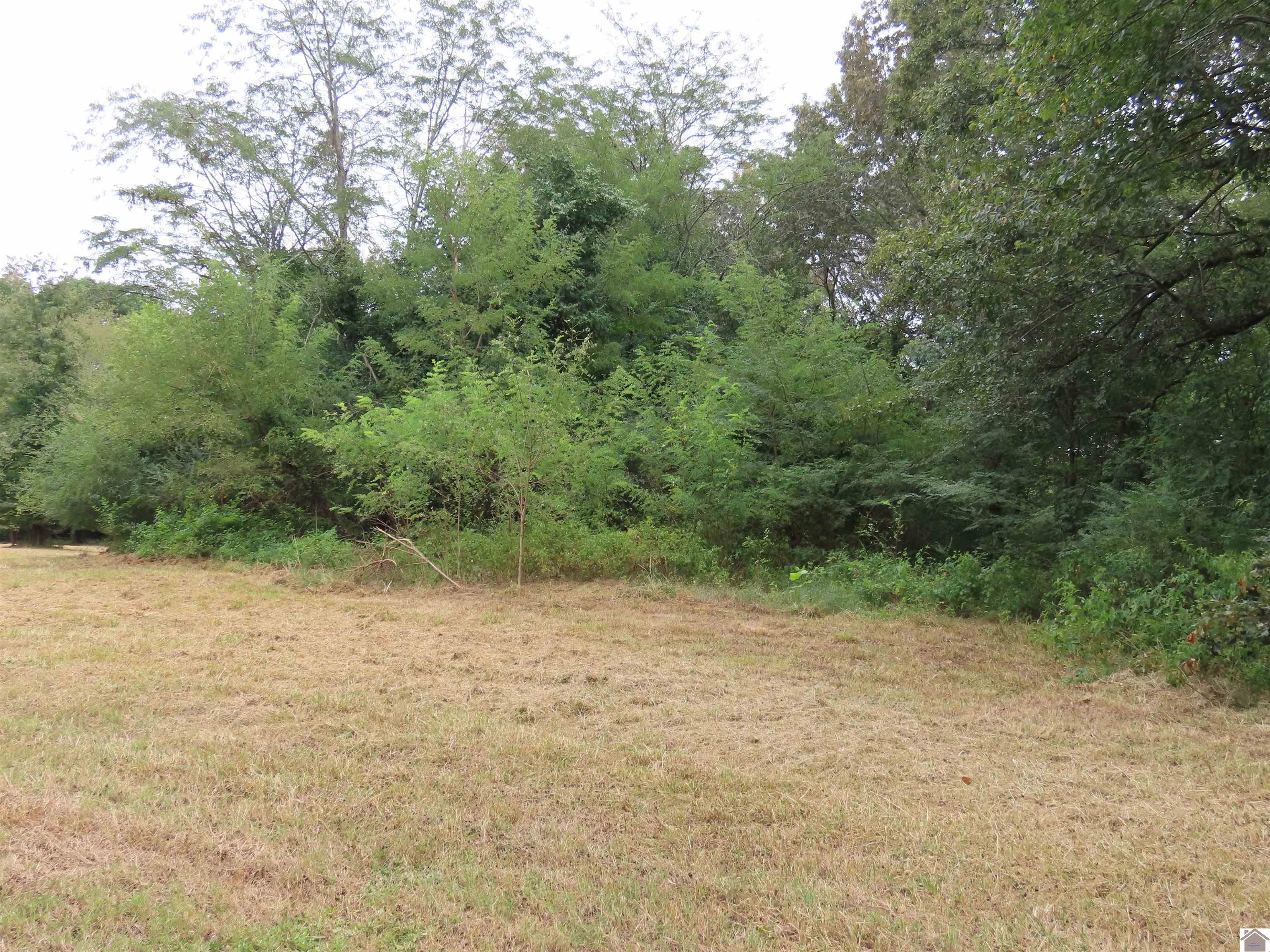 00 Pacific Ave., Wingo, KY 42088 Listing Photo  11