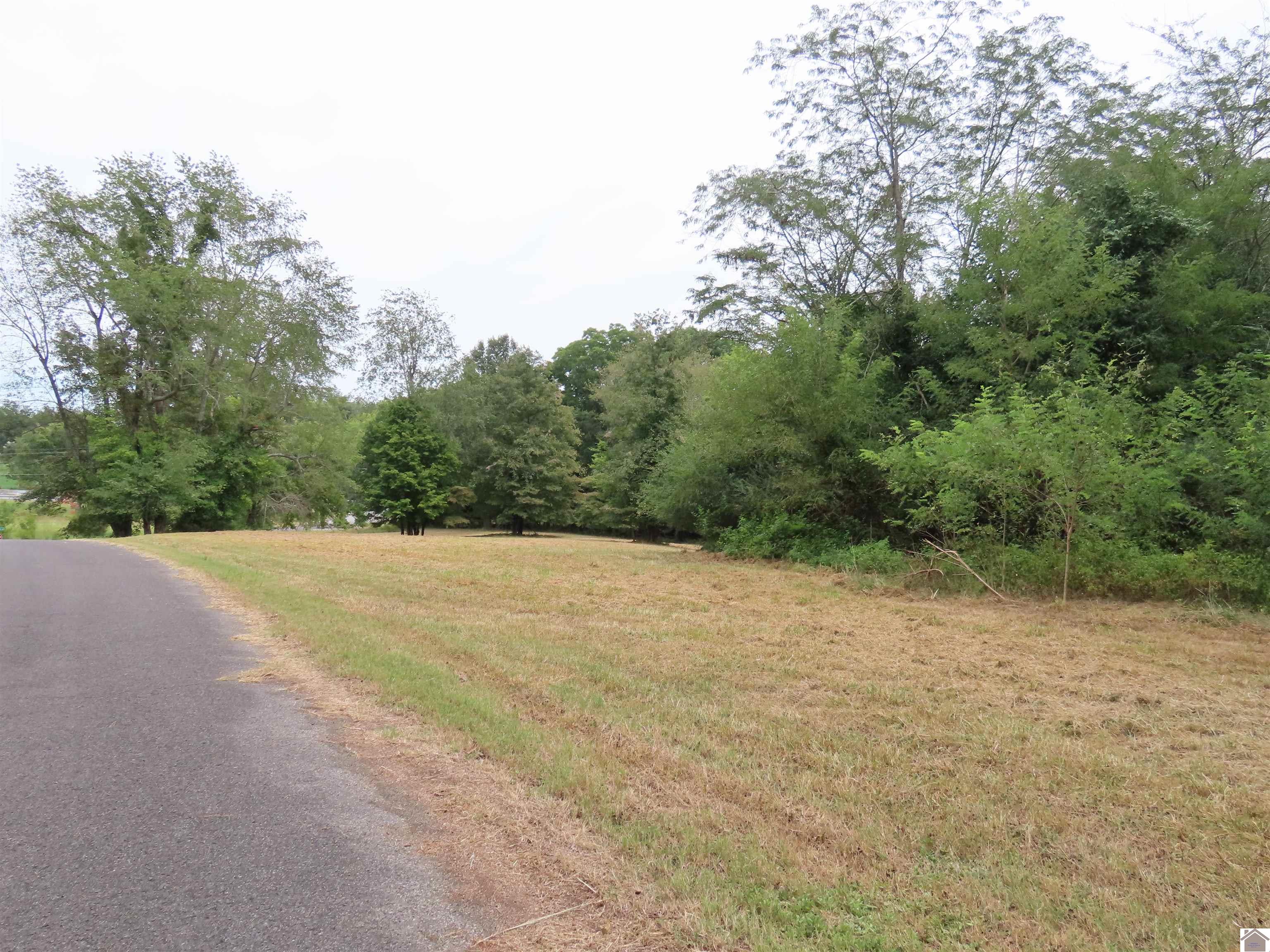 00 Pacific Ave., Wingo, KY 42088 Listing Photo  12