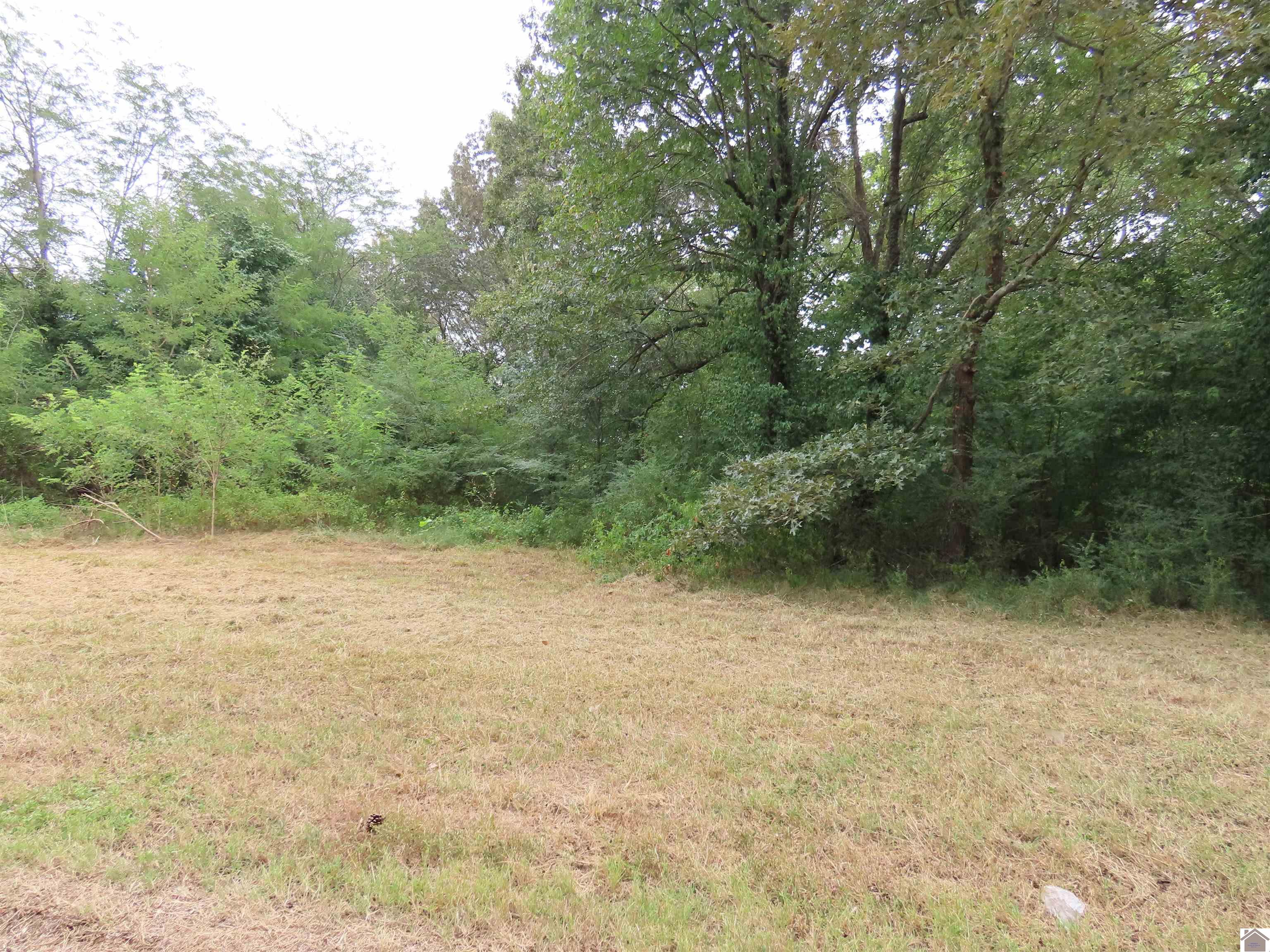 00 Pacific Ave., Wingo, KY 42088 Listing Photo  13