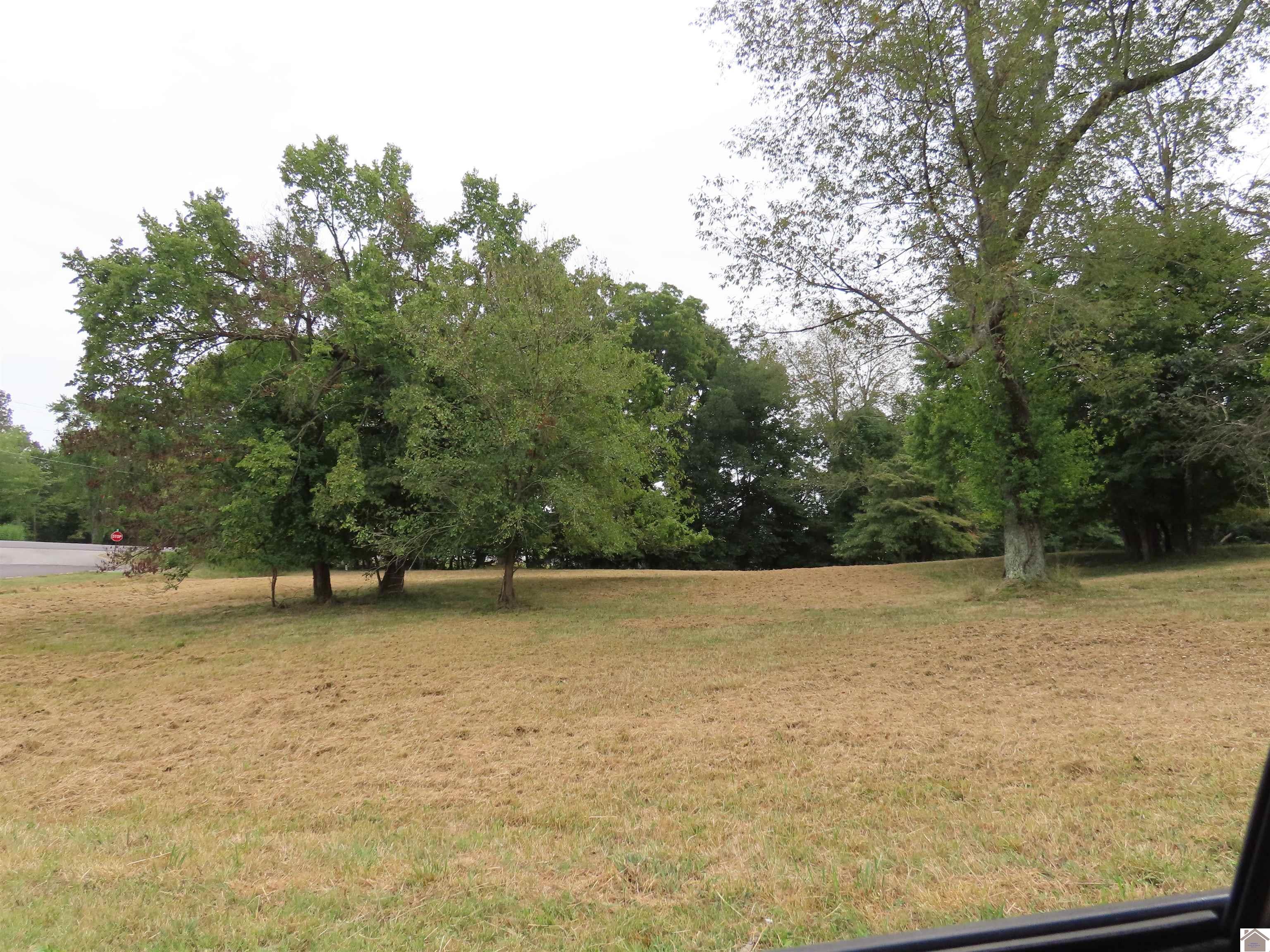 00 Pacific Ave., Wingo, KY 42088 Listing Photo  4