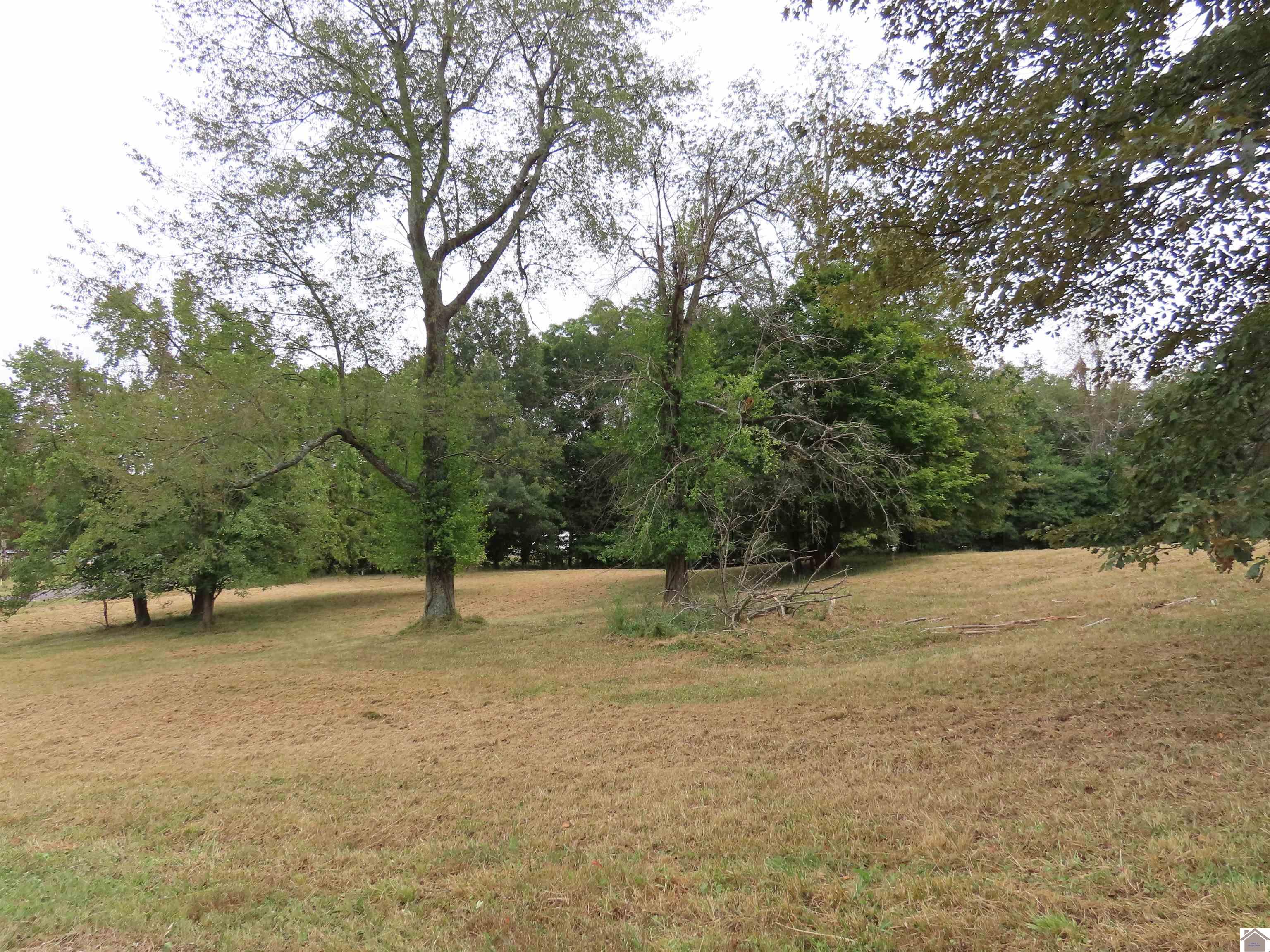 00 Pacific Ave., Wingo, KY 42088 Listing Photo  6