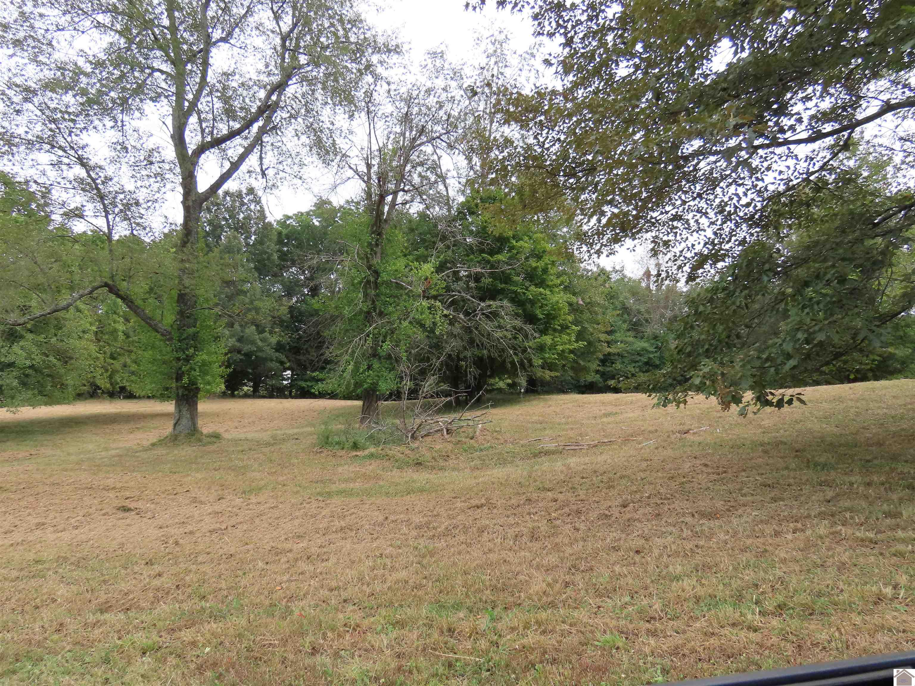 00 Pacific Ave., Wingo, KY 42088 Listing Photo  7