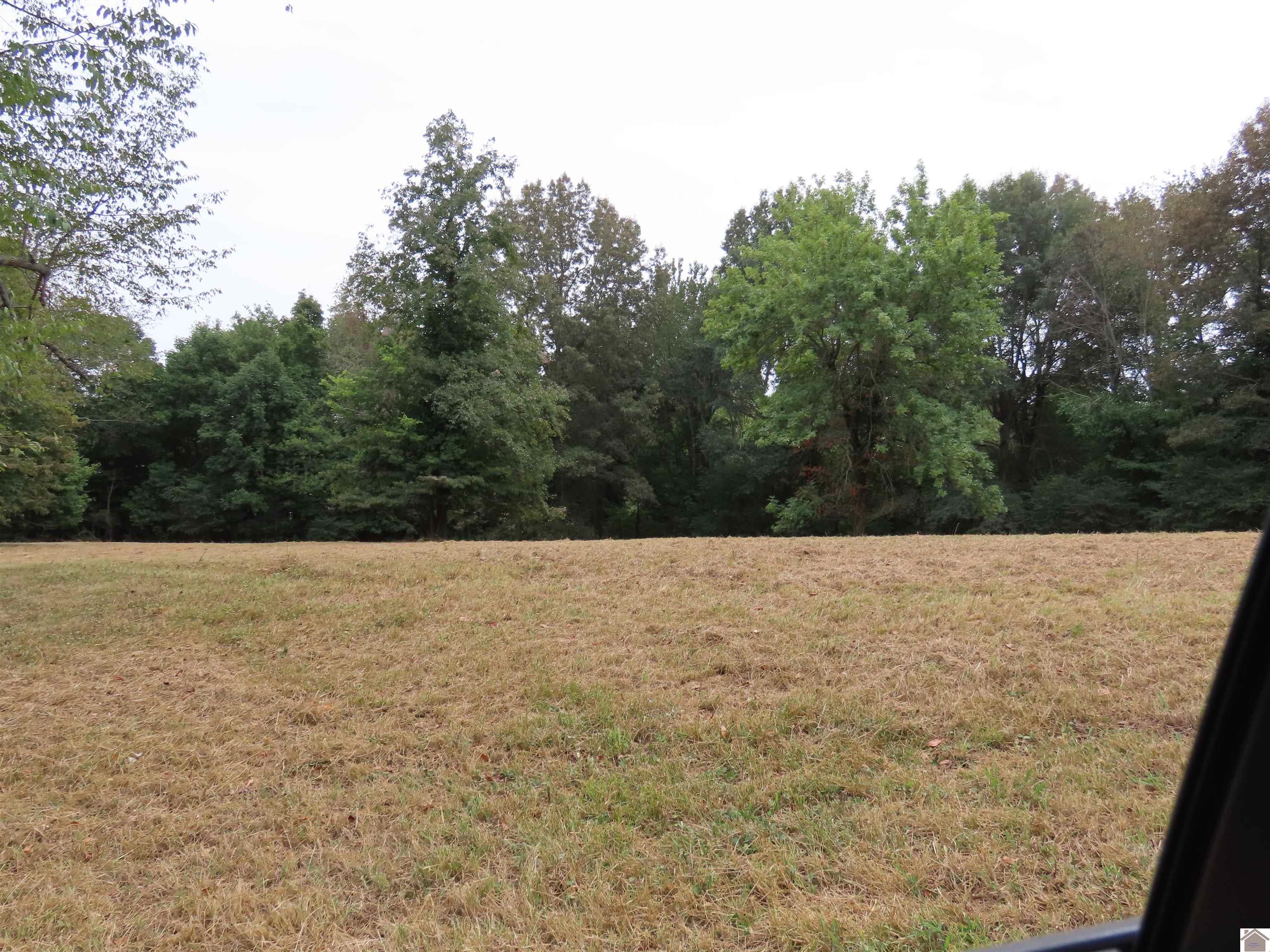 00 Pacific Ave., Wingo, KY 42088 Listing Photo  8