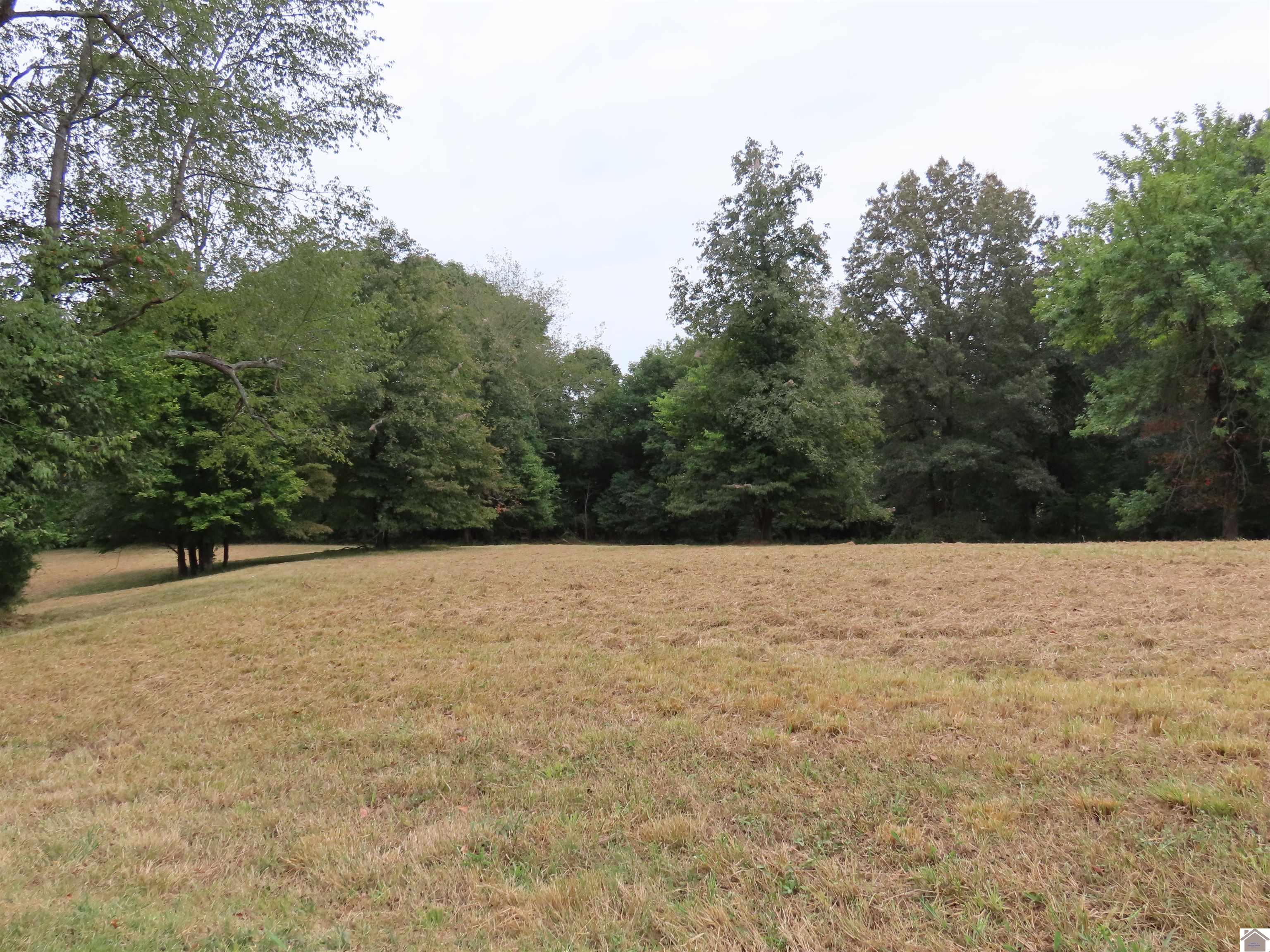 00 Pacific Ave., Wingo, KY 42088 Listing Photo  9