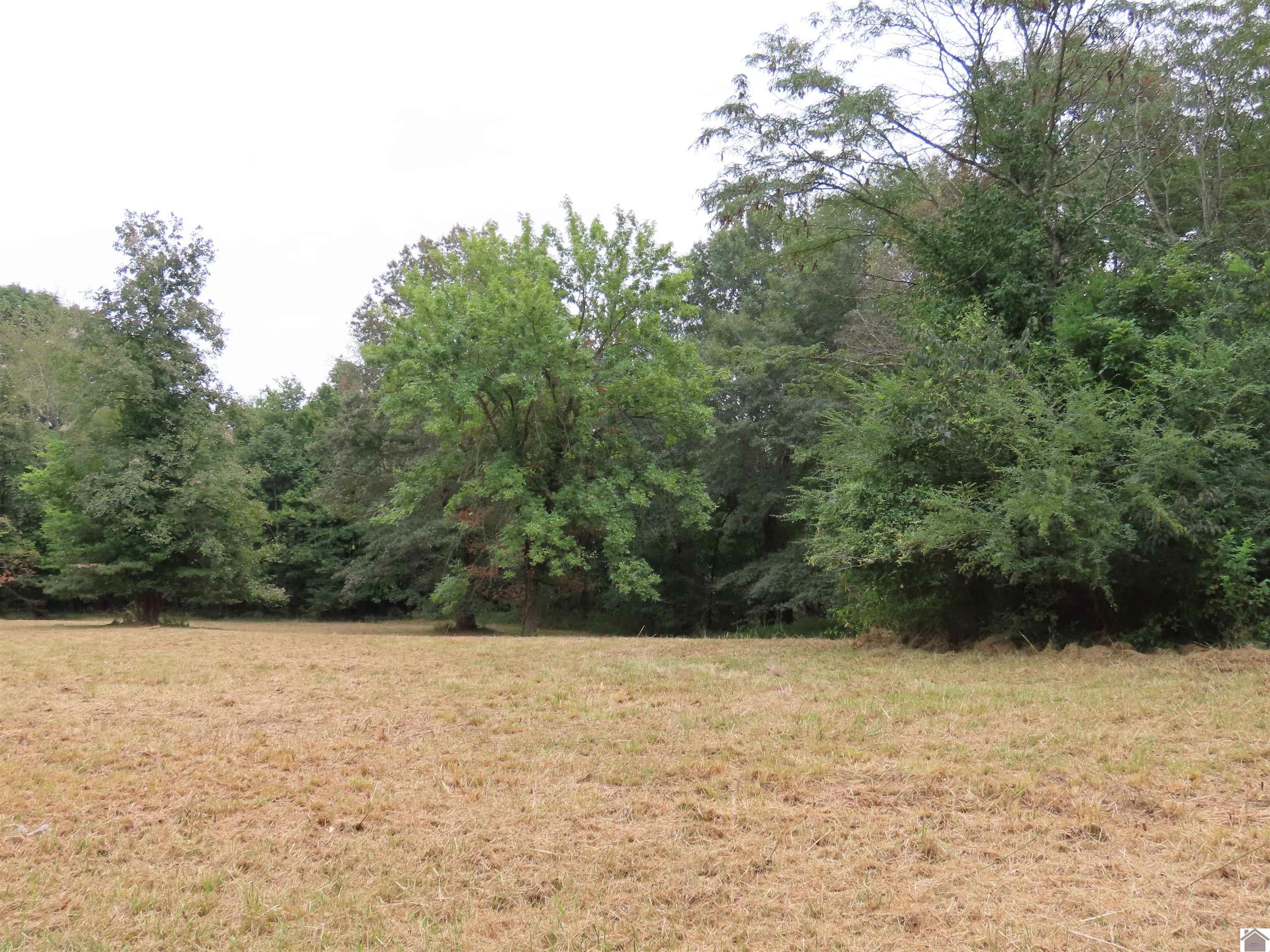 00 Pacific Ave., Wingo, KY 42088 Listing Photo  10