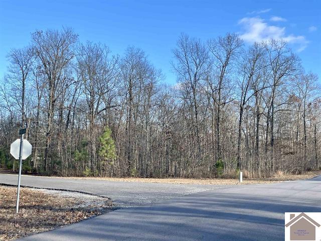 Lot 95 Deepwood Drive, Murray, KY 42071 Listing Photo  3