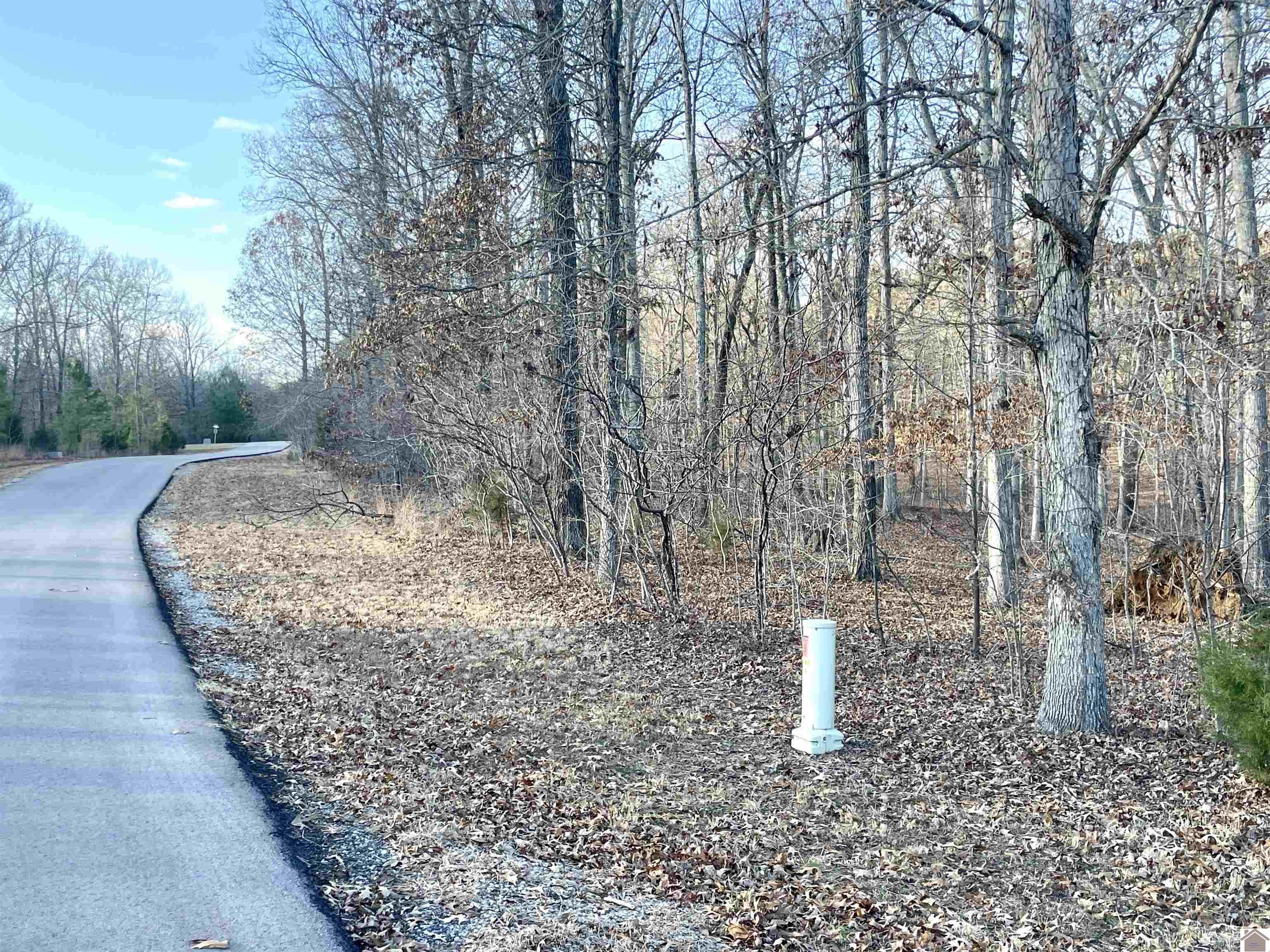 Lot 95 Deepwood Drive, Murray, KY 42071 Listing Photo  4