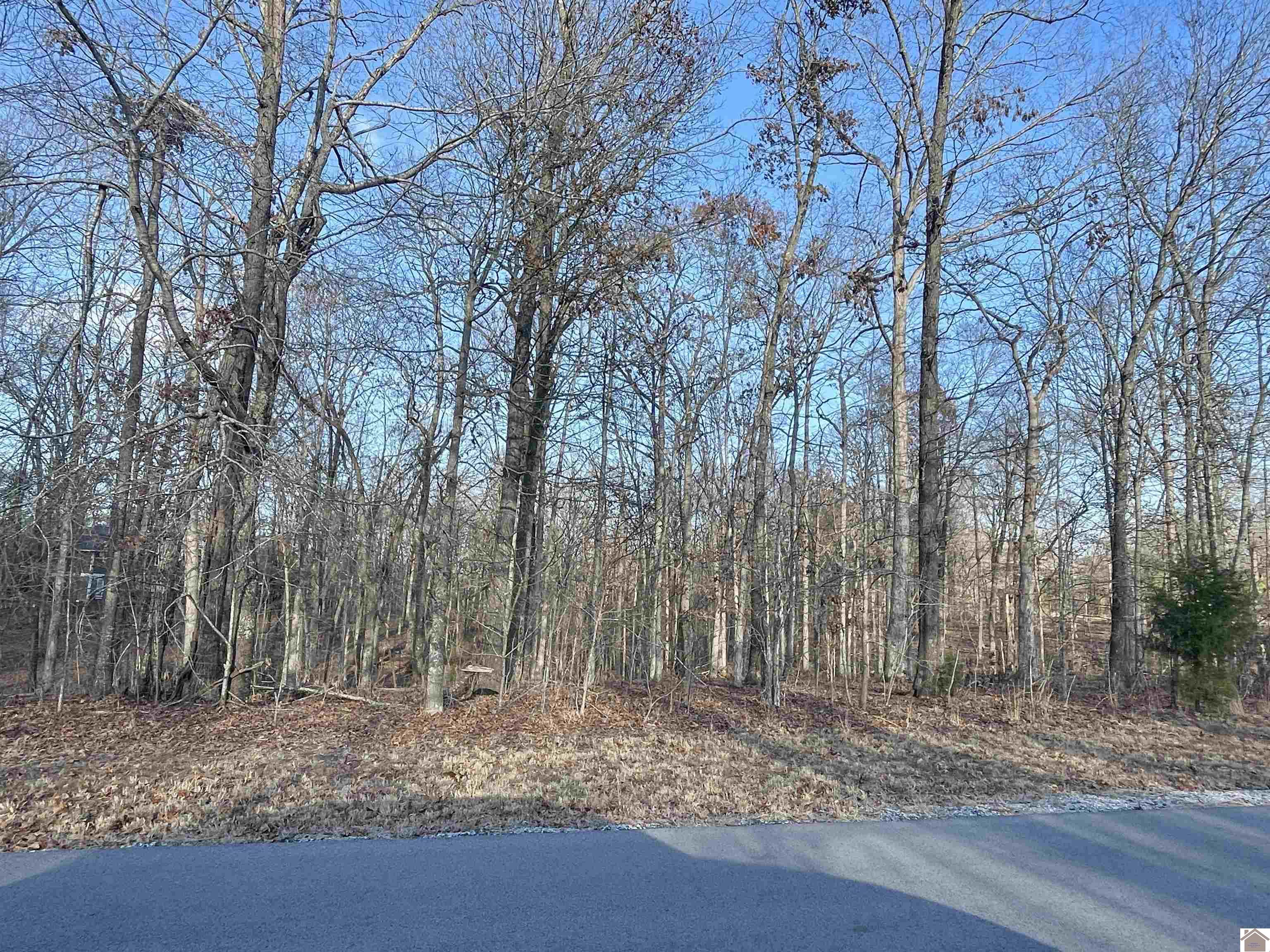 Lot 95 Deepwood Drive, Murray, KY 42071 Listing Photo  5