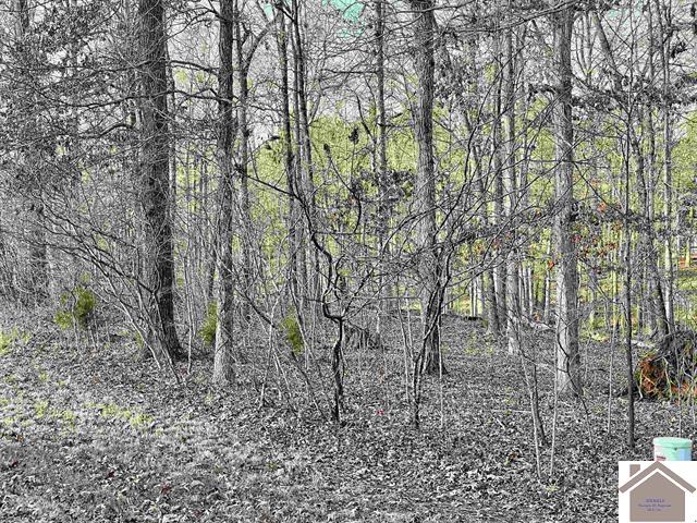 Lot 95 Deepwood Drive, Murray, KY 42071 Listing Photo  6