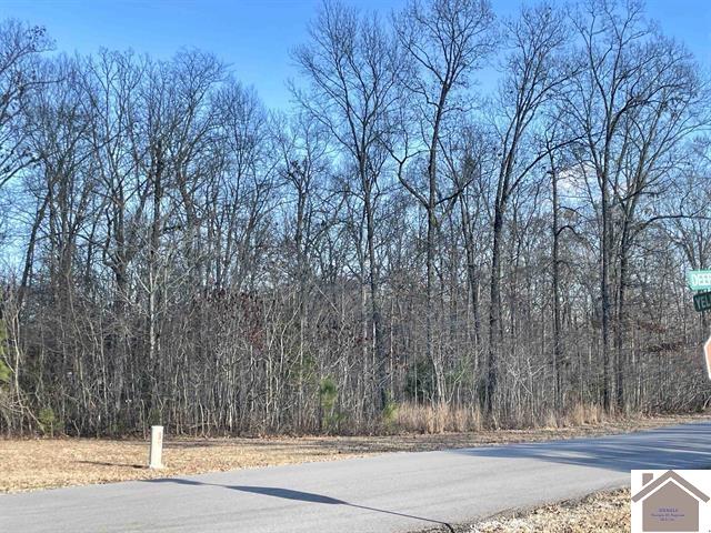 Lot 95 Deepwood Drive, Murray, KY 42071 Listing Photo  7